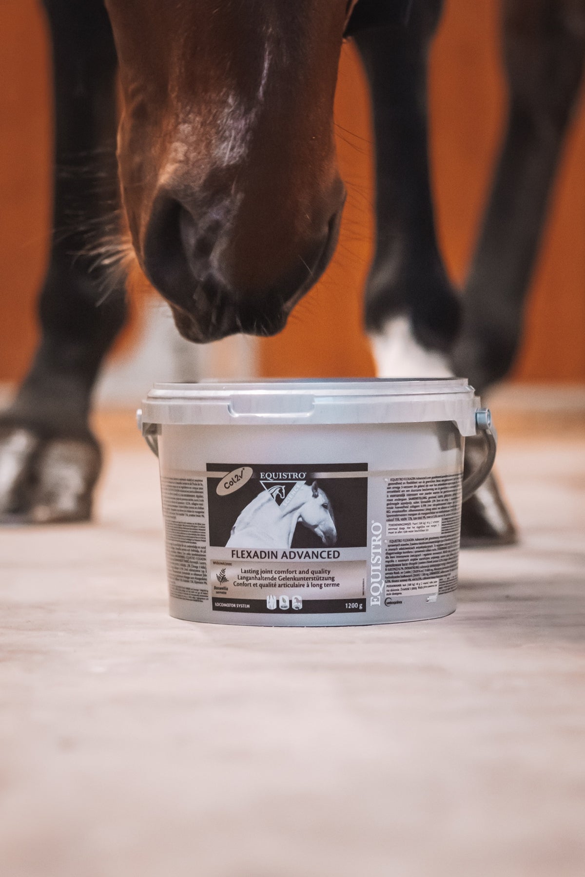 Equistro EQUISTRO Flexadin Advanced 1,2 kg Horse Feed & Nutrition