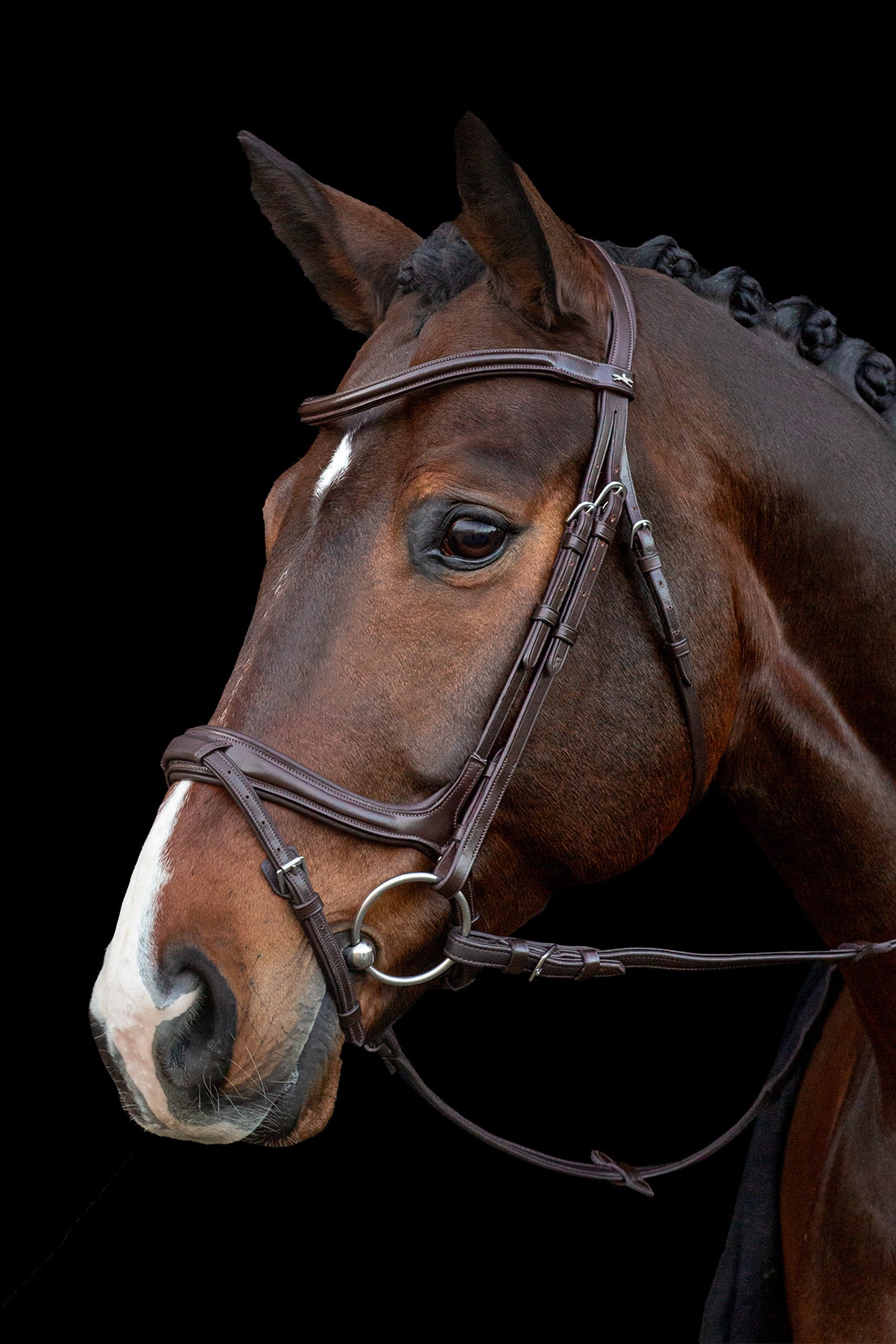 Schockemöhle Sports Ancona Select Bridle Bridles & Reins