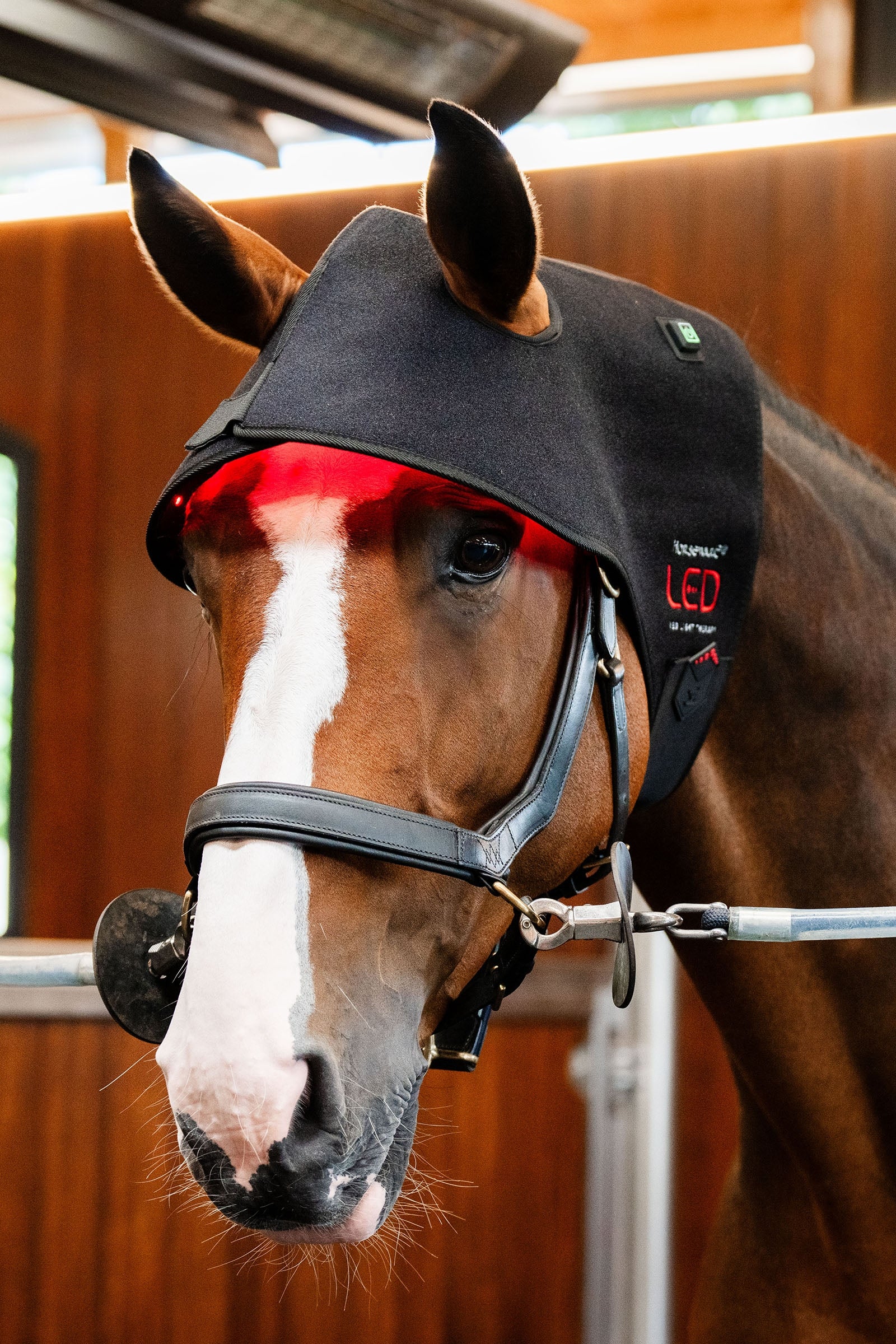 Horseware LED Red Light Therapy Poll Cap Horse Rugs