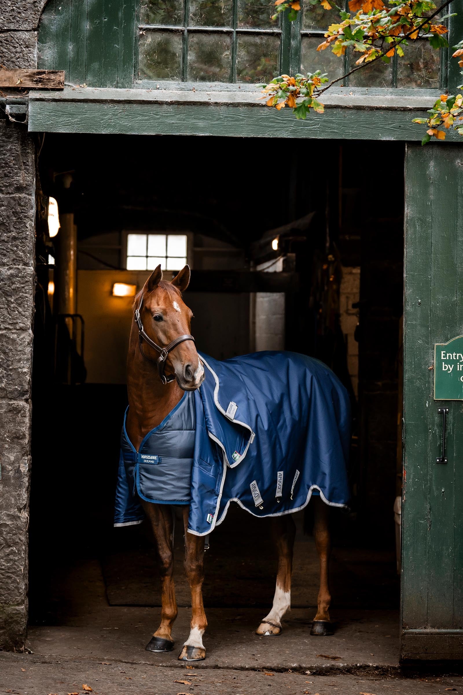 Horseware Liner 400g Horse Rugs