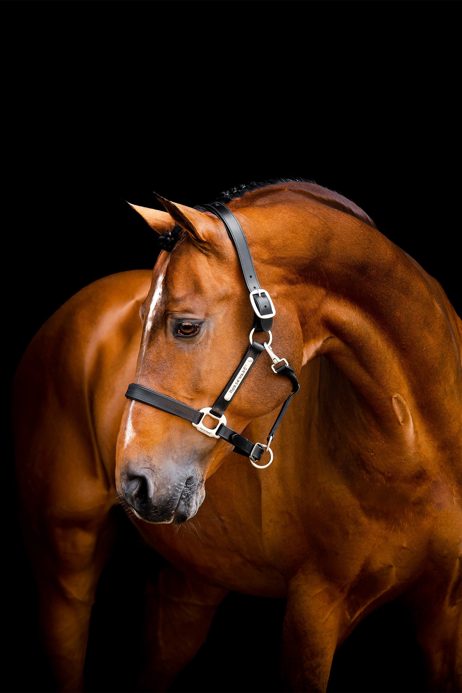 Horseware Skórzany halter Signature Kantary i uwiązy