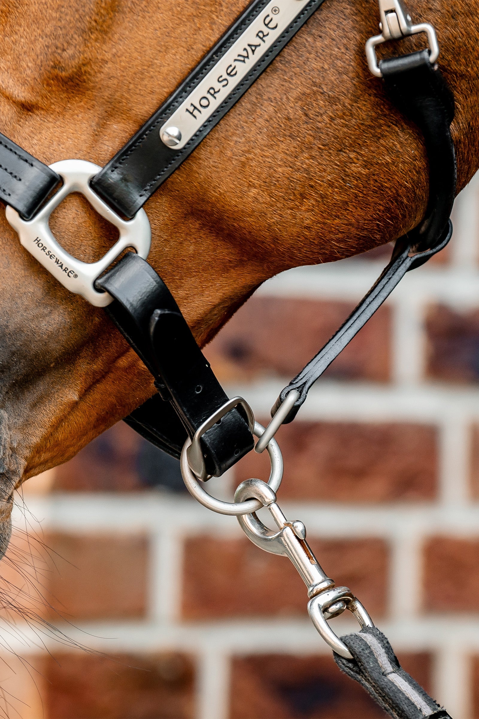Horseware Signature Leather Headcollar Halters & Leads