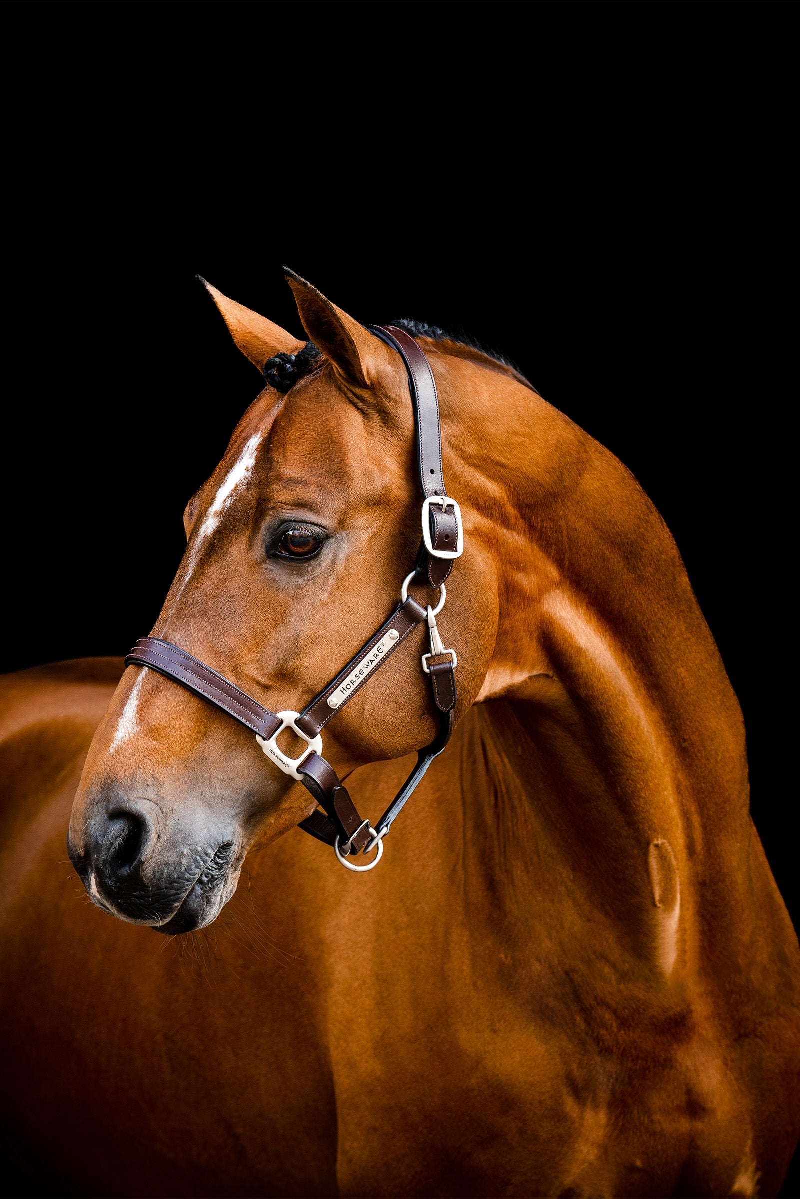 Horseware Skórzany halter Signature Kantary i uwiązy