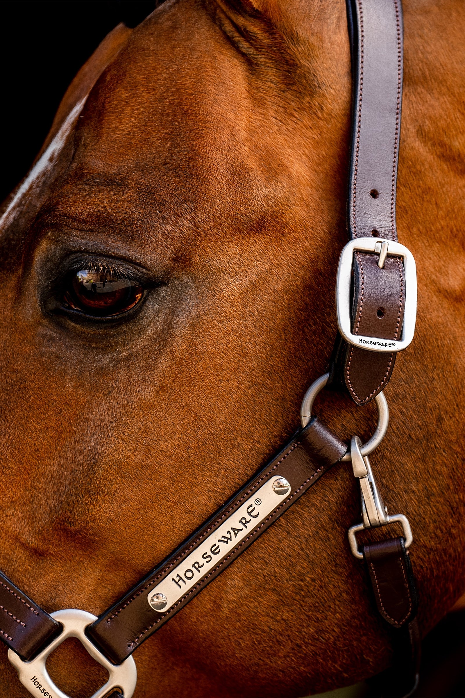 Horseware Signature Leather Headcollar Halters & Leads