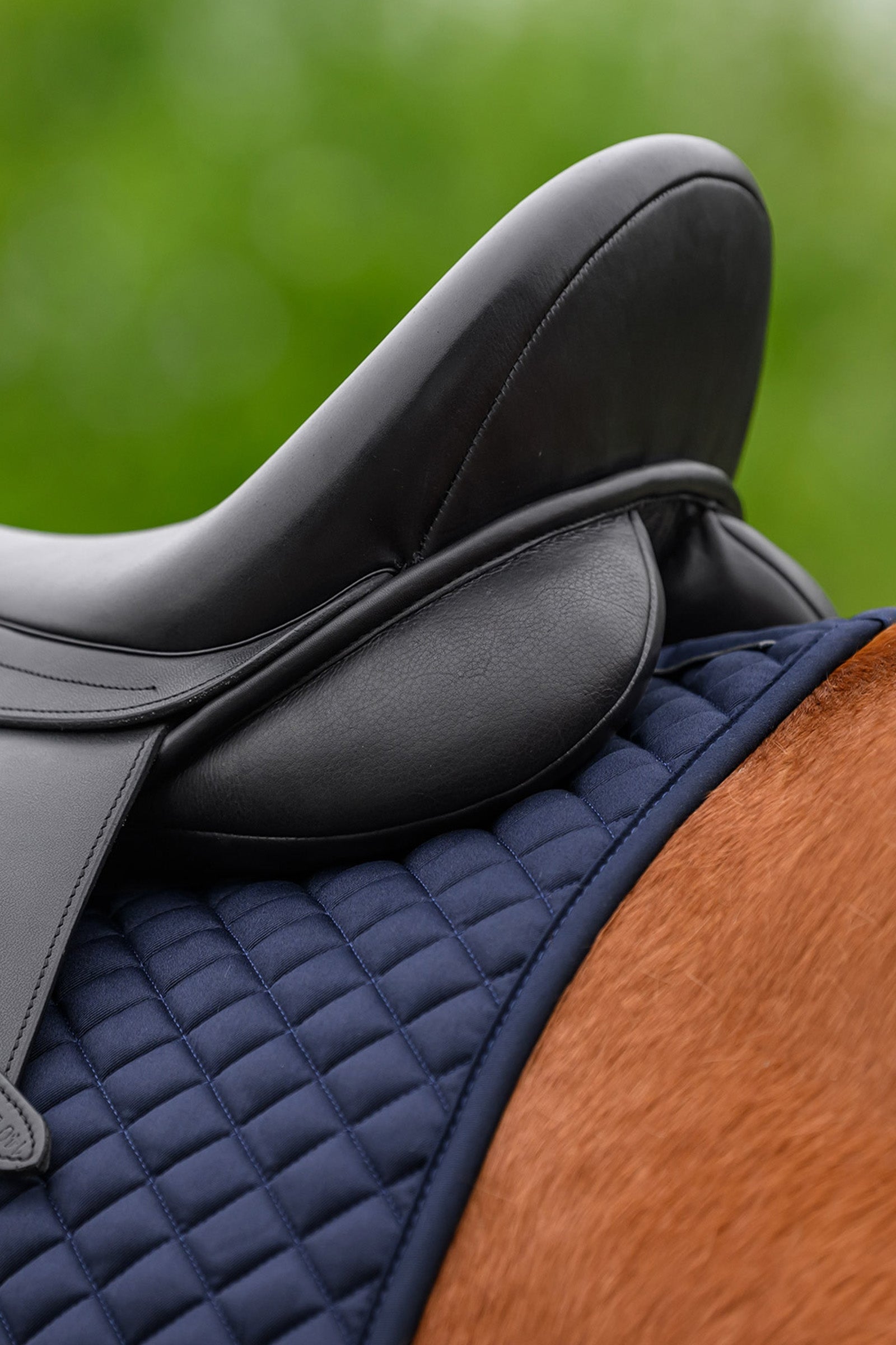 Waldhausen Felix Universal Dressage Saddle Pad Saddle Pads
