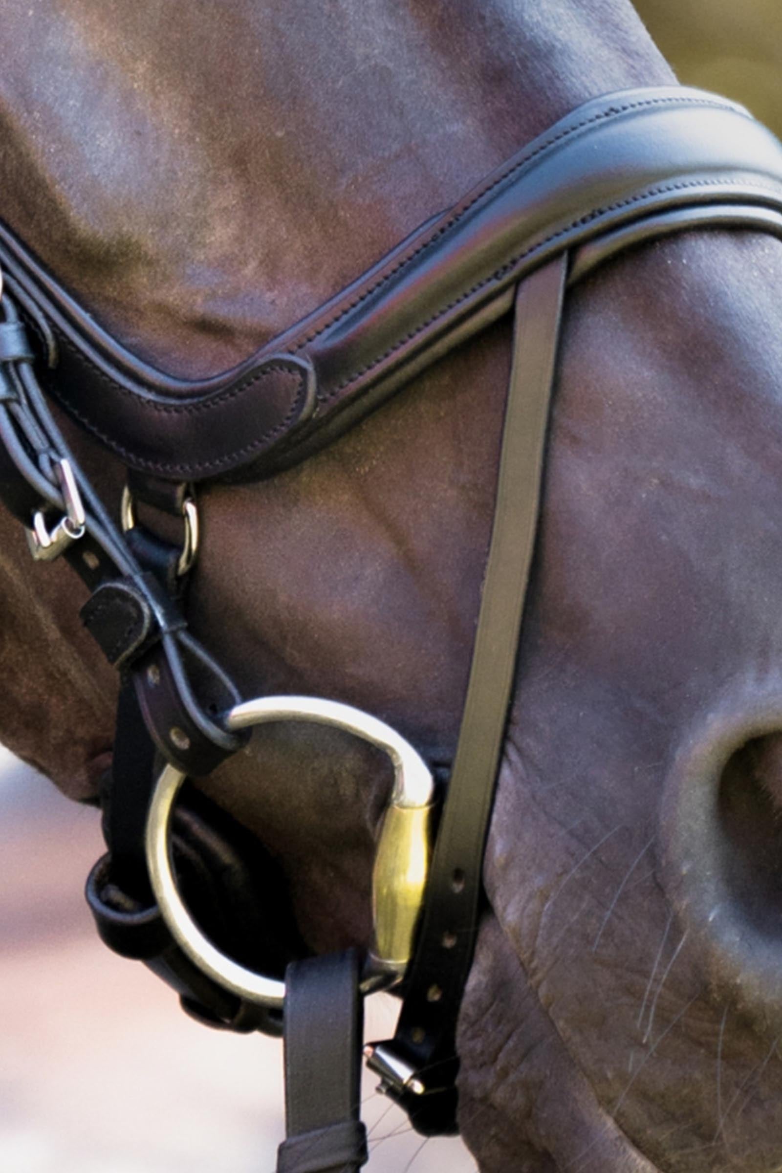Kavalkade Calla English Combined Bridle With Rhinestone Browband Bridles & Reins