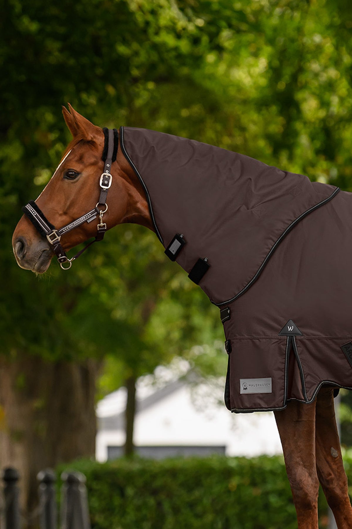 Waldhausen Outdoor Rug Neck Piece 600D, Light Horse Rugs