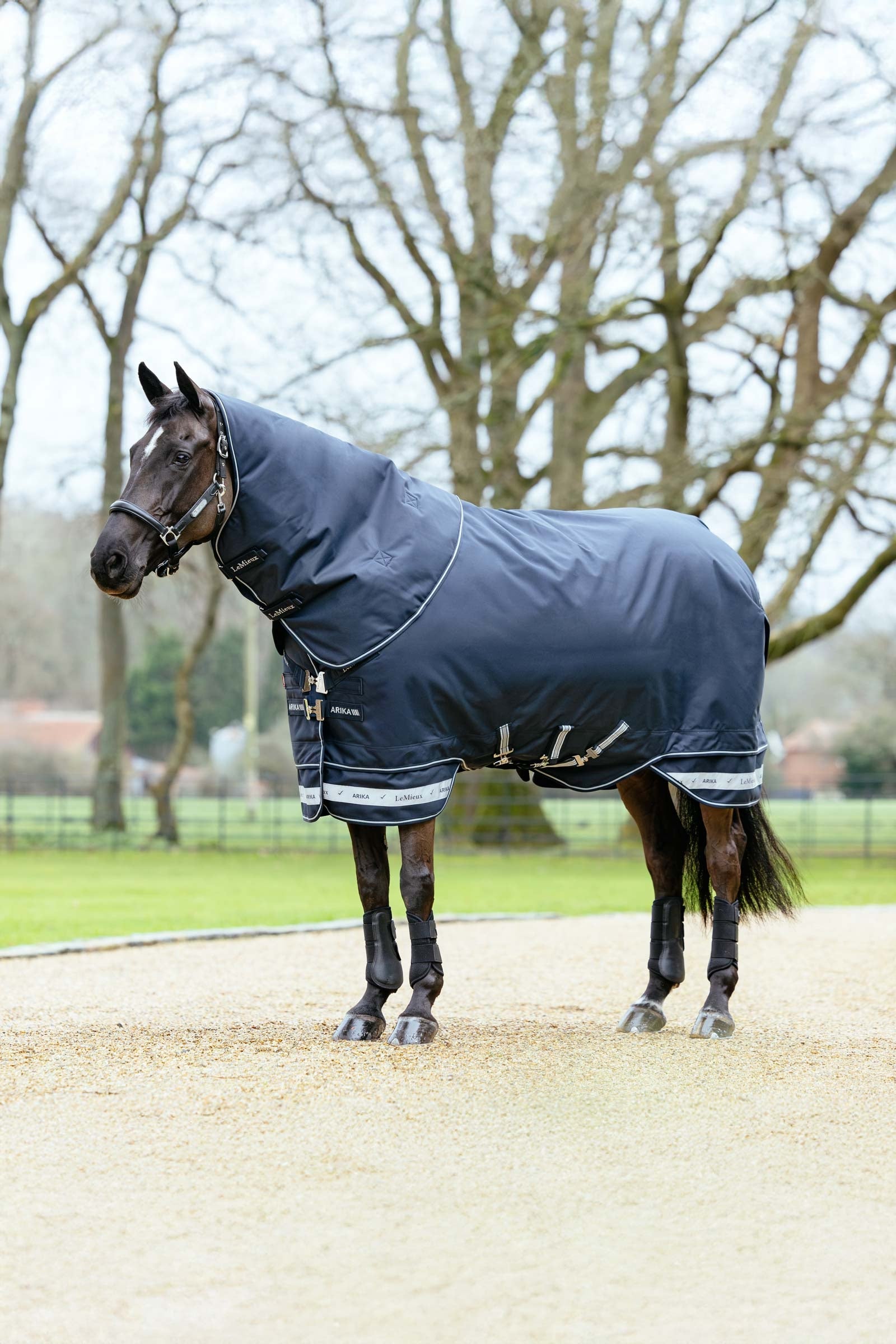 LeMieux Arika Storm-Tek Rug With Detachable Neck, 200 g Horse Rugs