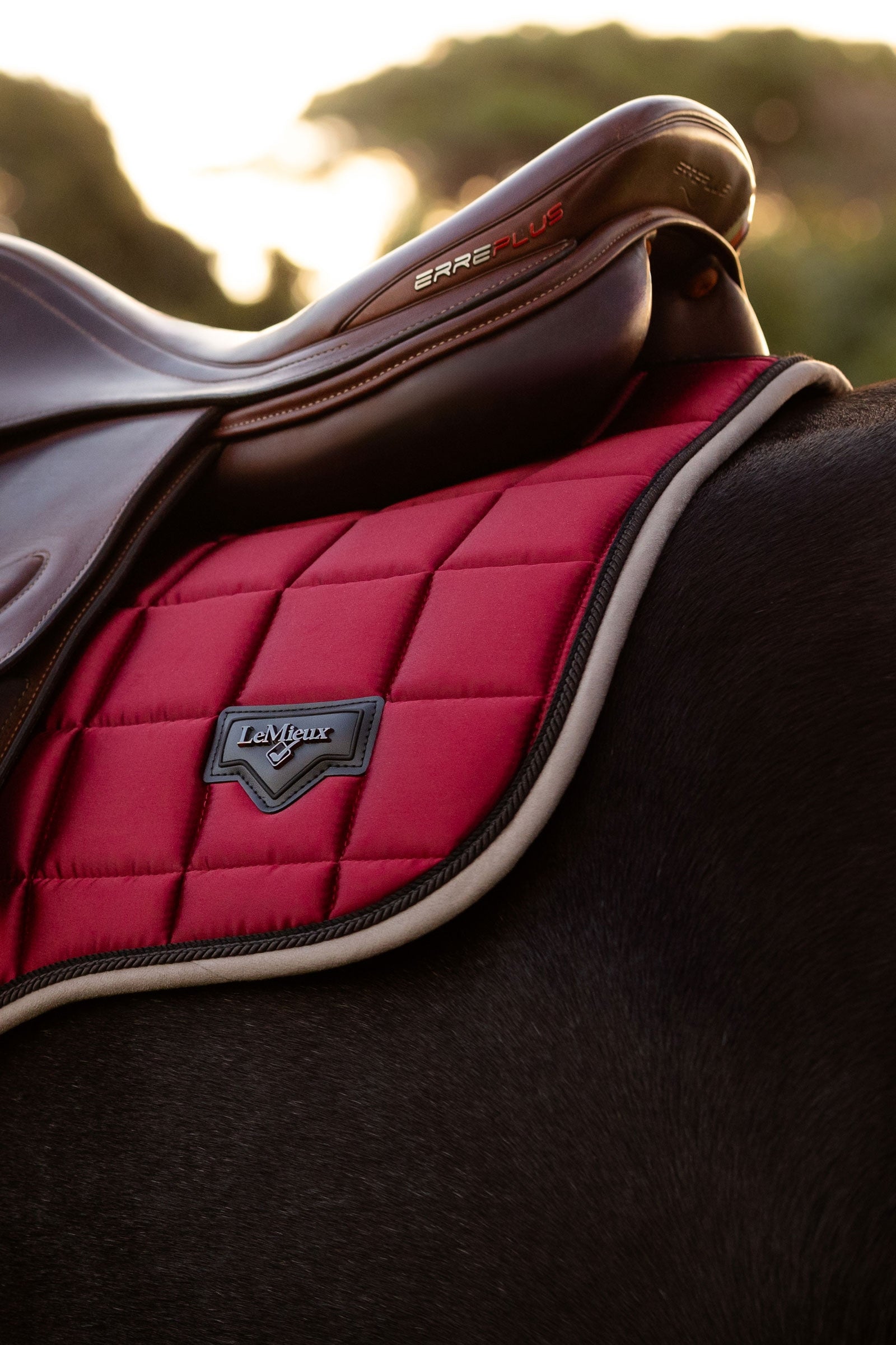 LeMieux Loire Classic Square All Purpose Saddle Pad Saddle Pads