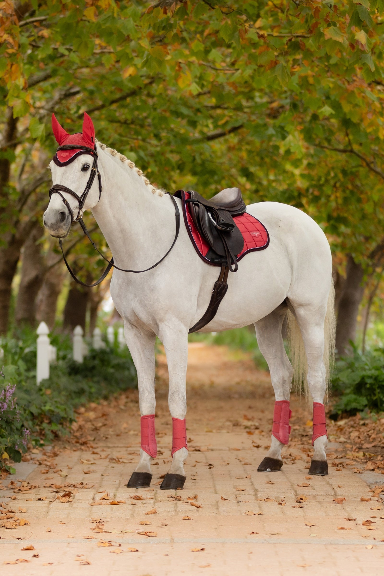 LeMieux Loire Classic Square All Purpose Saddle Pad Saddle Pads