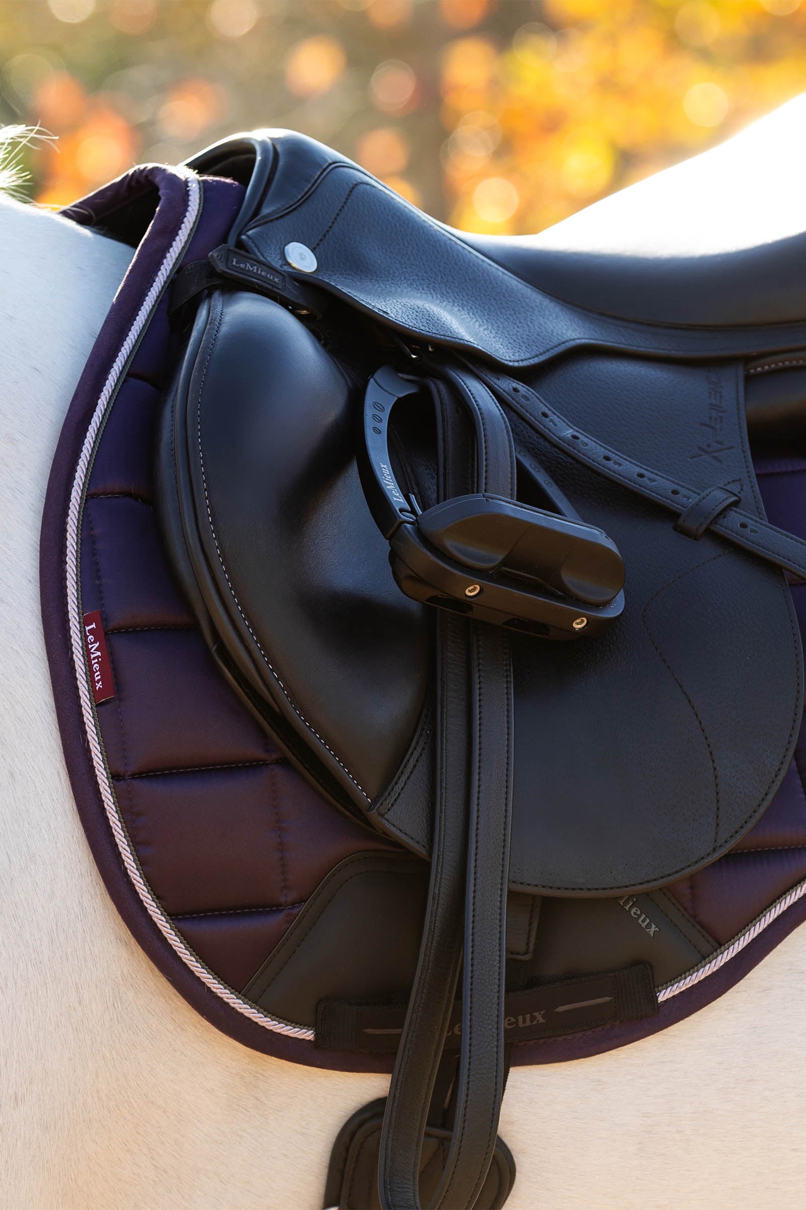 LeMieux Loire Classic Square All Purpose Saddle Pad Saddle Pads