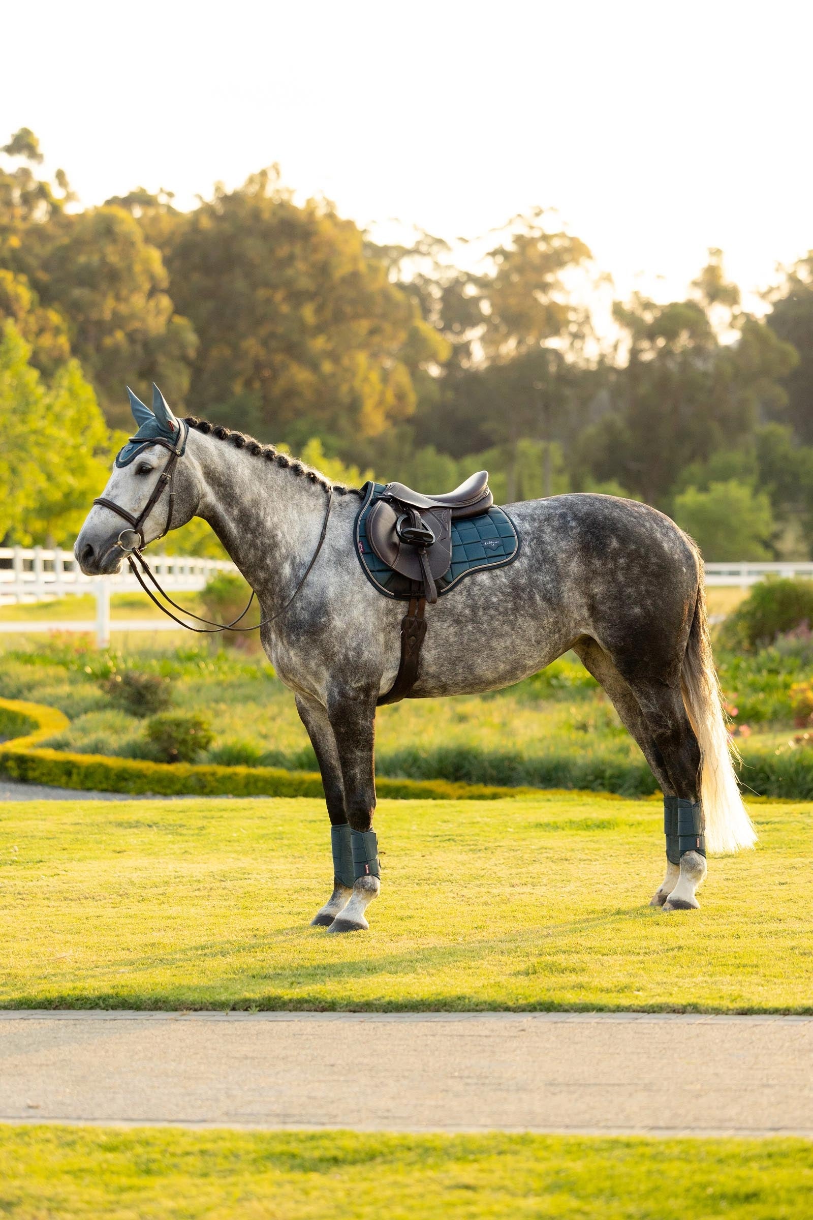 LeMieux Loire Classic Square All Purpose Saddle Pad Saddle Pads