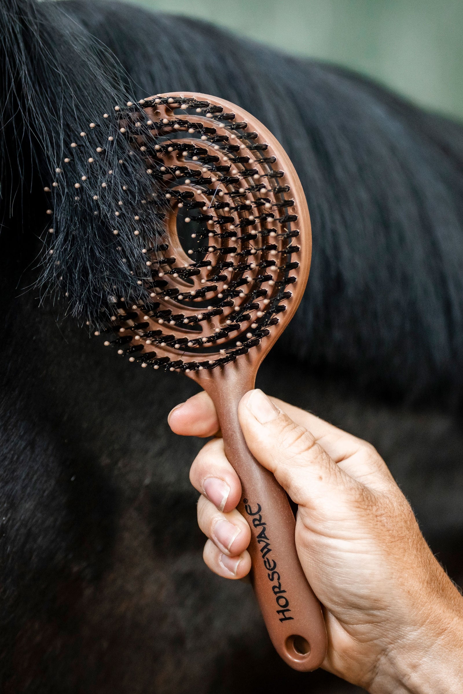 Horseware szczotka do grzywy i ogona Sprzęt do czyszczenia