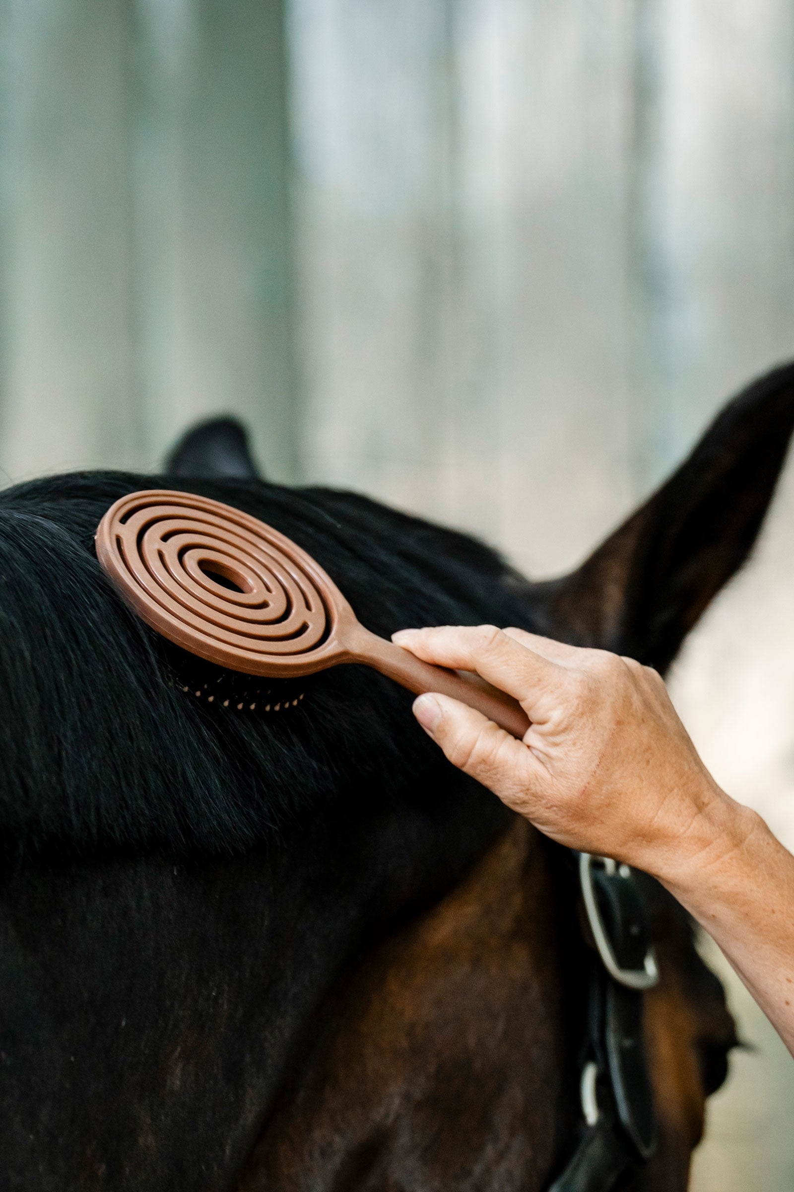 Horseware Mane & Tail Brush Horse Grooming Tools