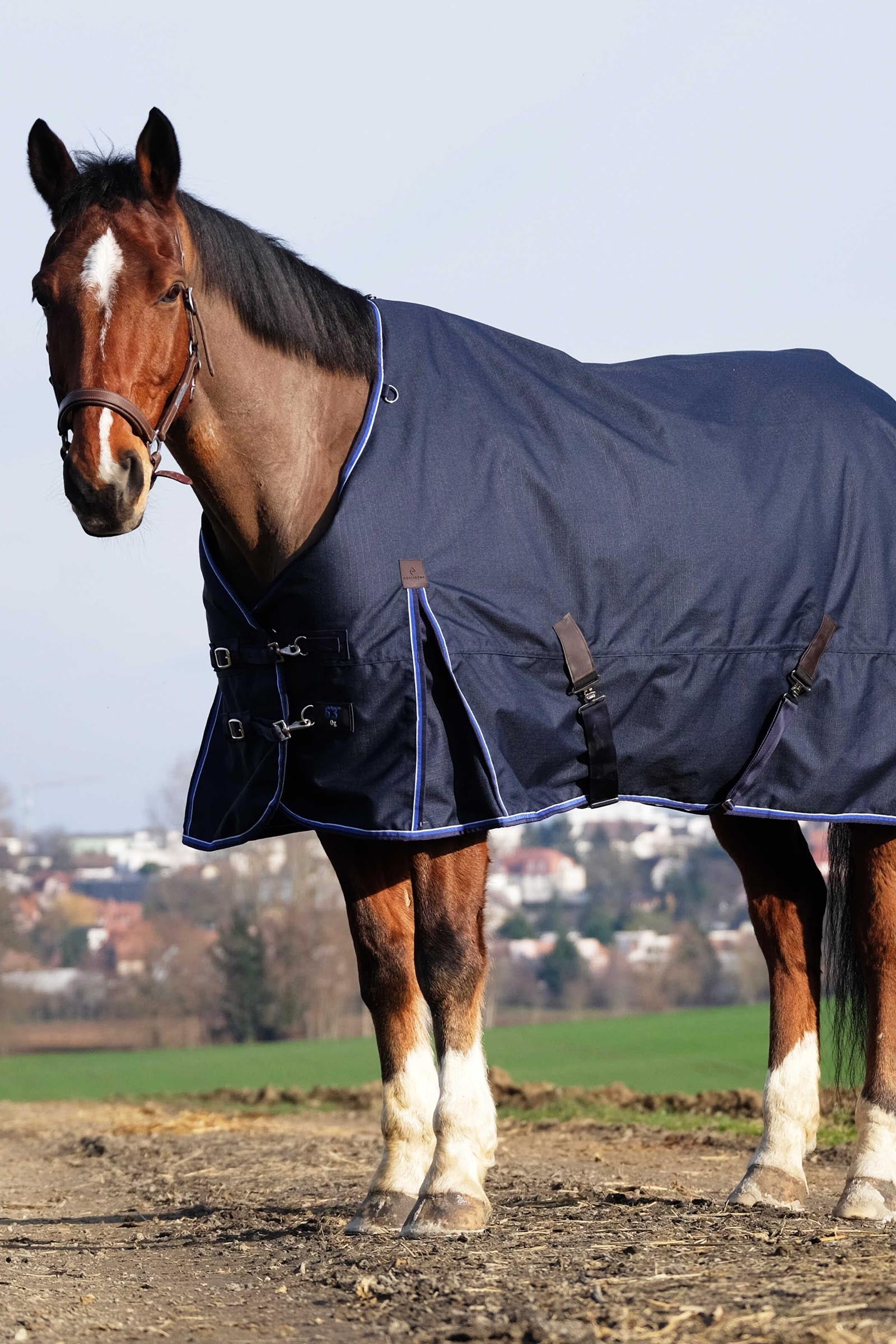 Equi Theme EQUITHÈME Classic 1200D Turnout Rug, 50 g Horse Rugs