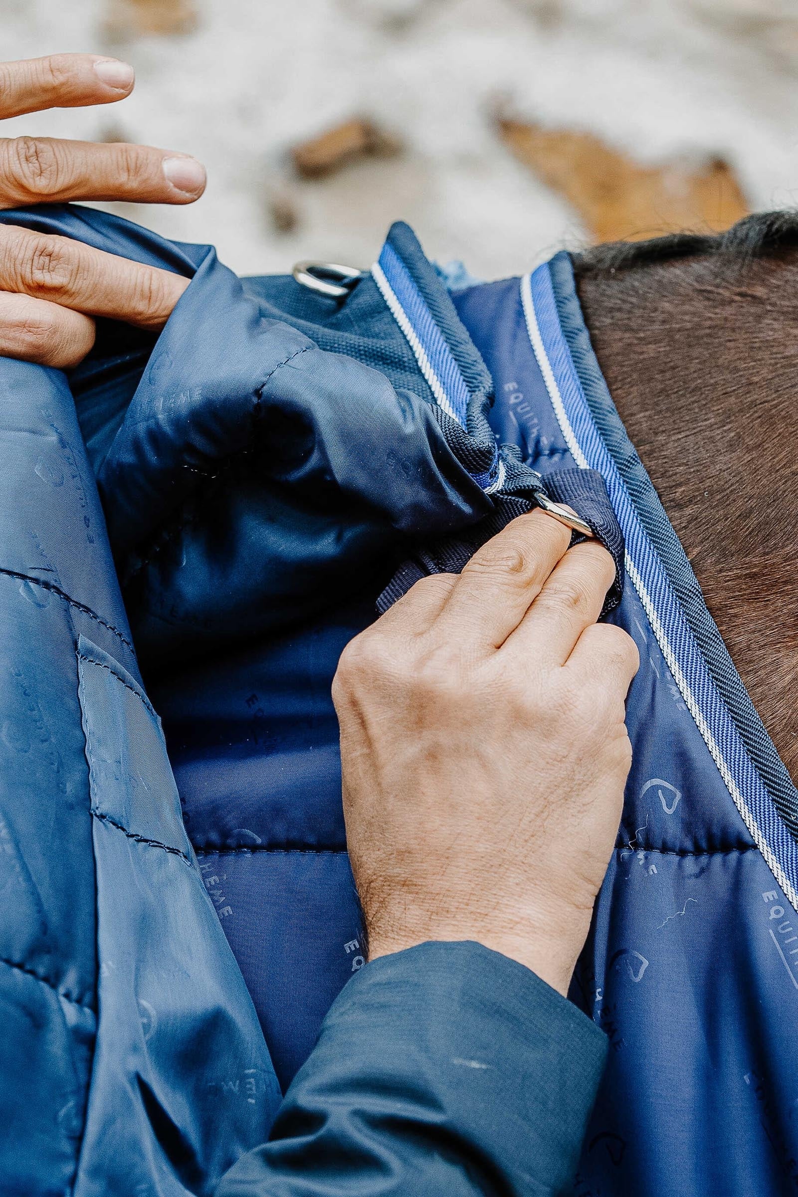 Equi Theme EQUITHÈME Classic 1200D Turnout Rug, 50 g Horse Rugs