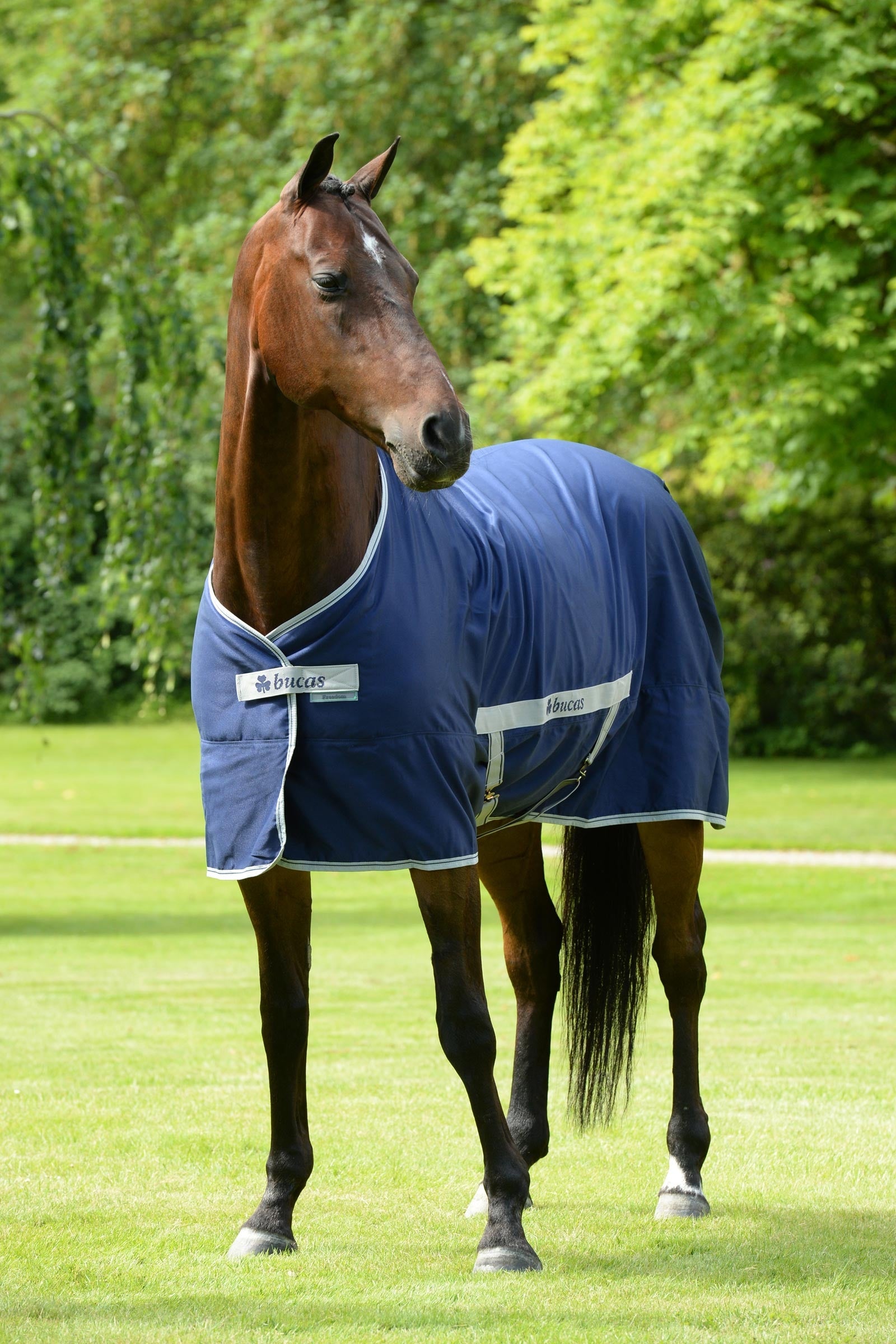 Bucas Freedom Twill Derka stajenna, 0 g Derki