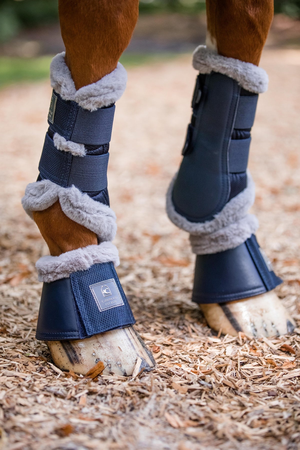 Cavallo CAVALJODI Bellboots Leg & Hoof Protection