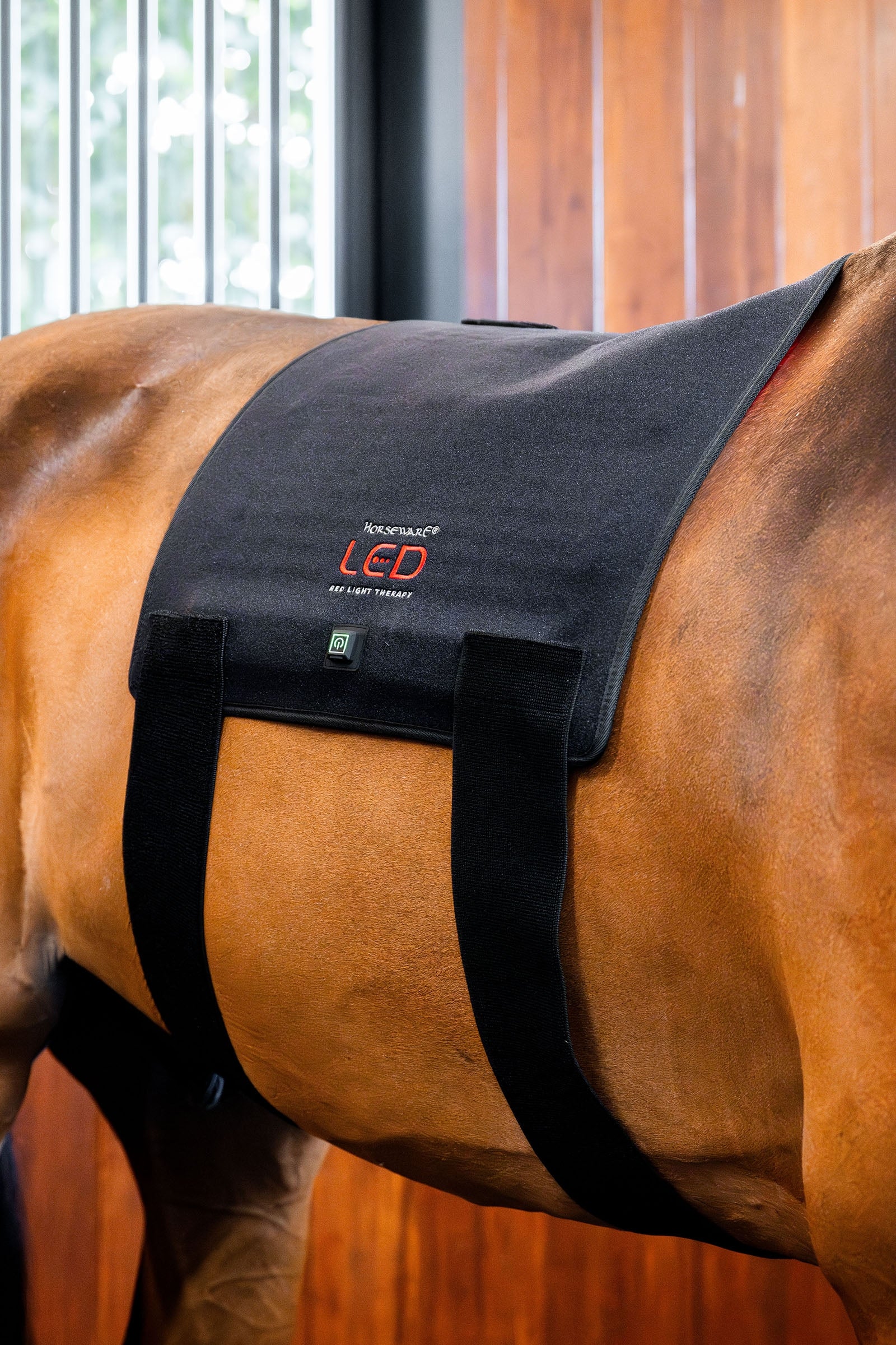 Horseware LED terapeutyczny Pad z czerwonym światłem Derki
