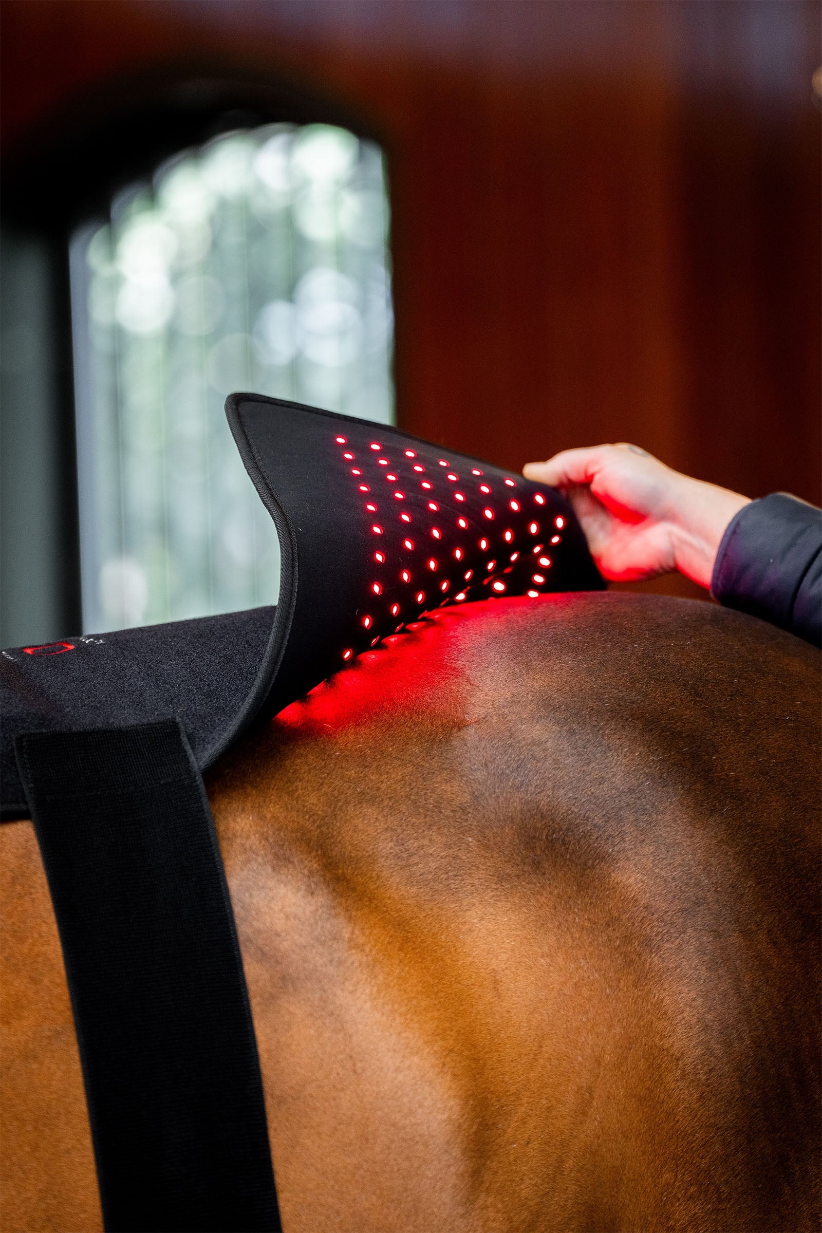 Horseware LED Red Light Therapy Pad Horse Rugs