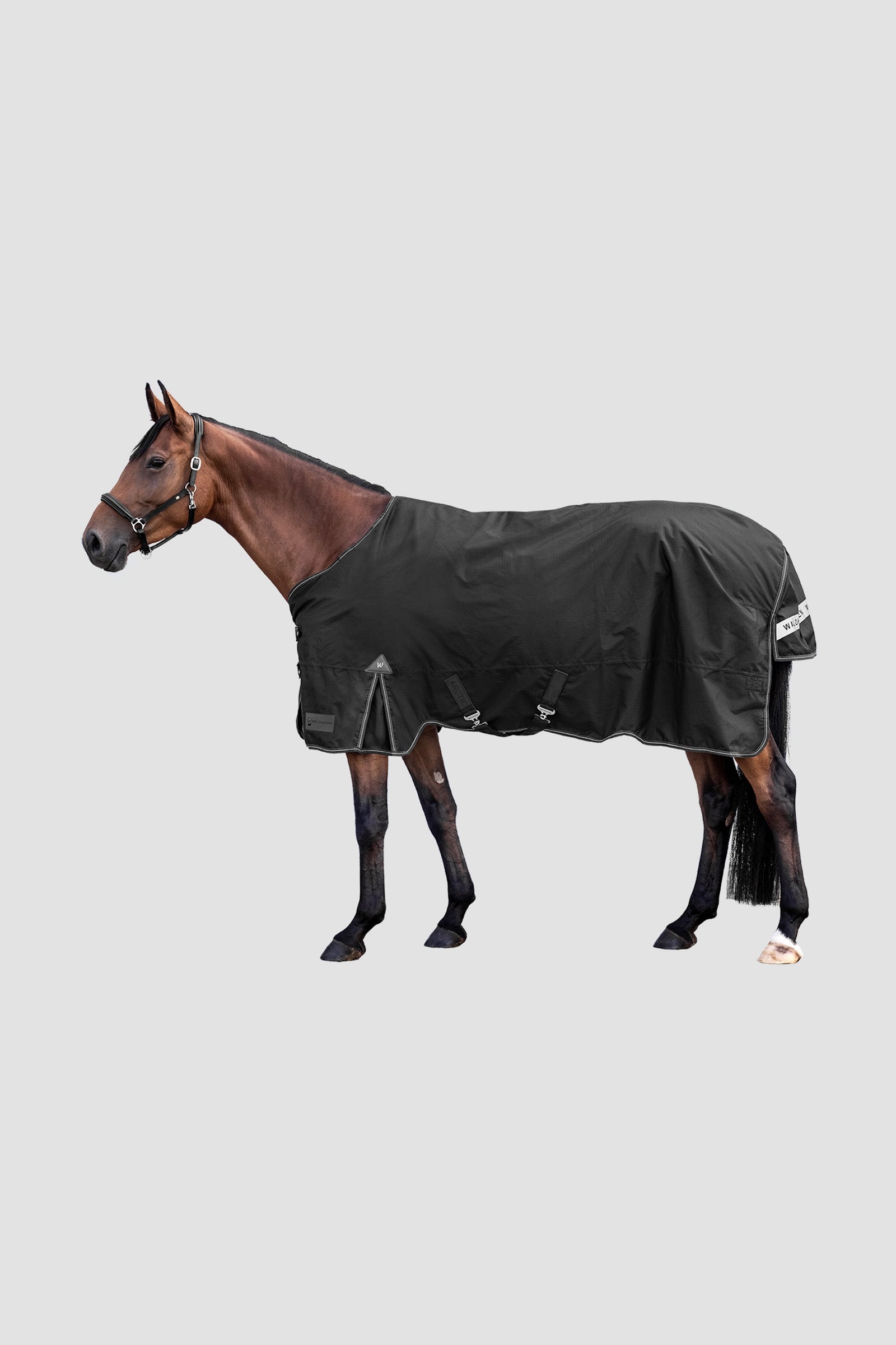 Waldhausen Outdoor Rug Arctic 300 g Horse Rugs