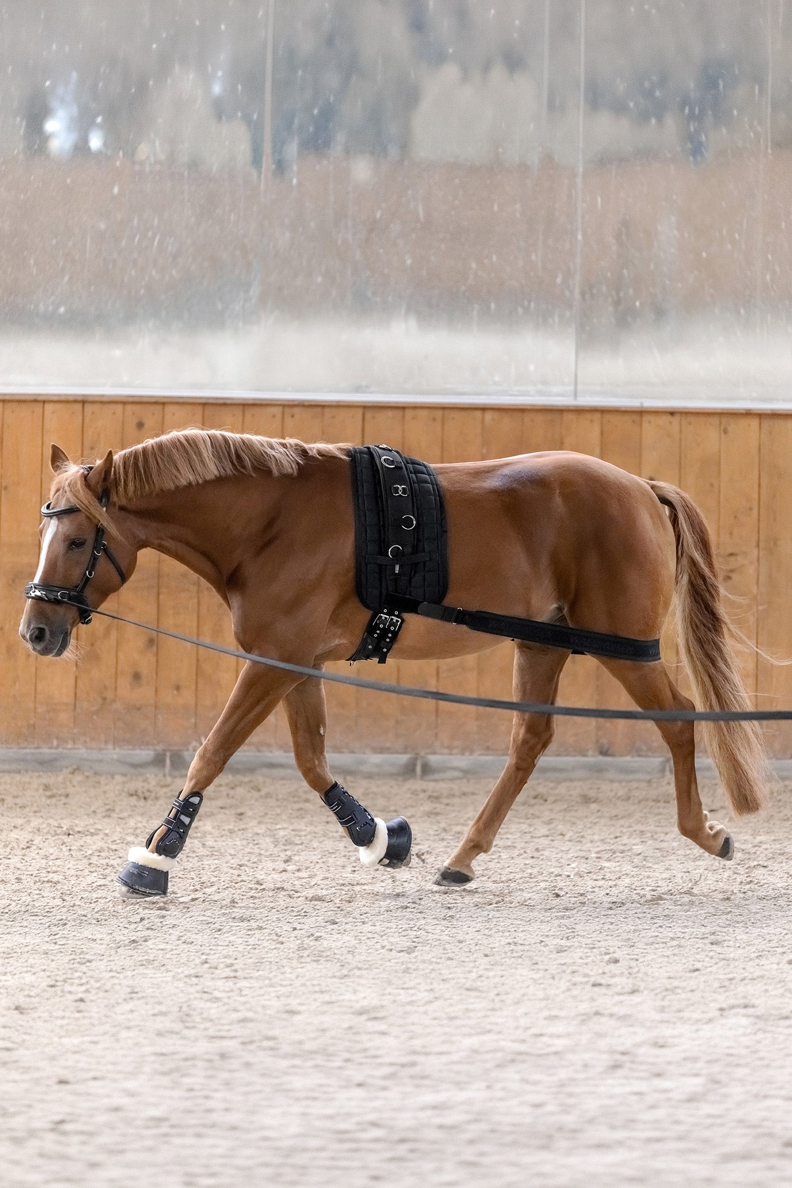 Waldhausen bandaż body do aktywacji zadu Leg & Hoof Protection