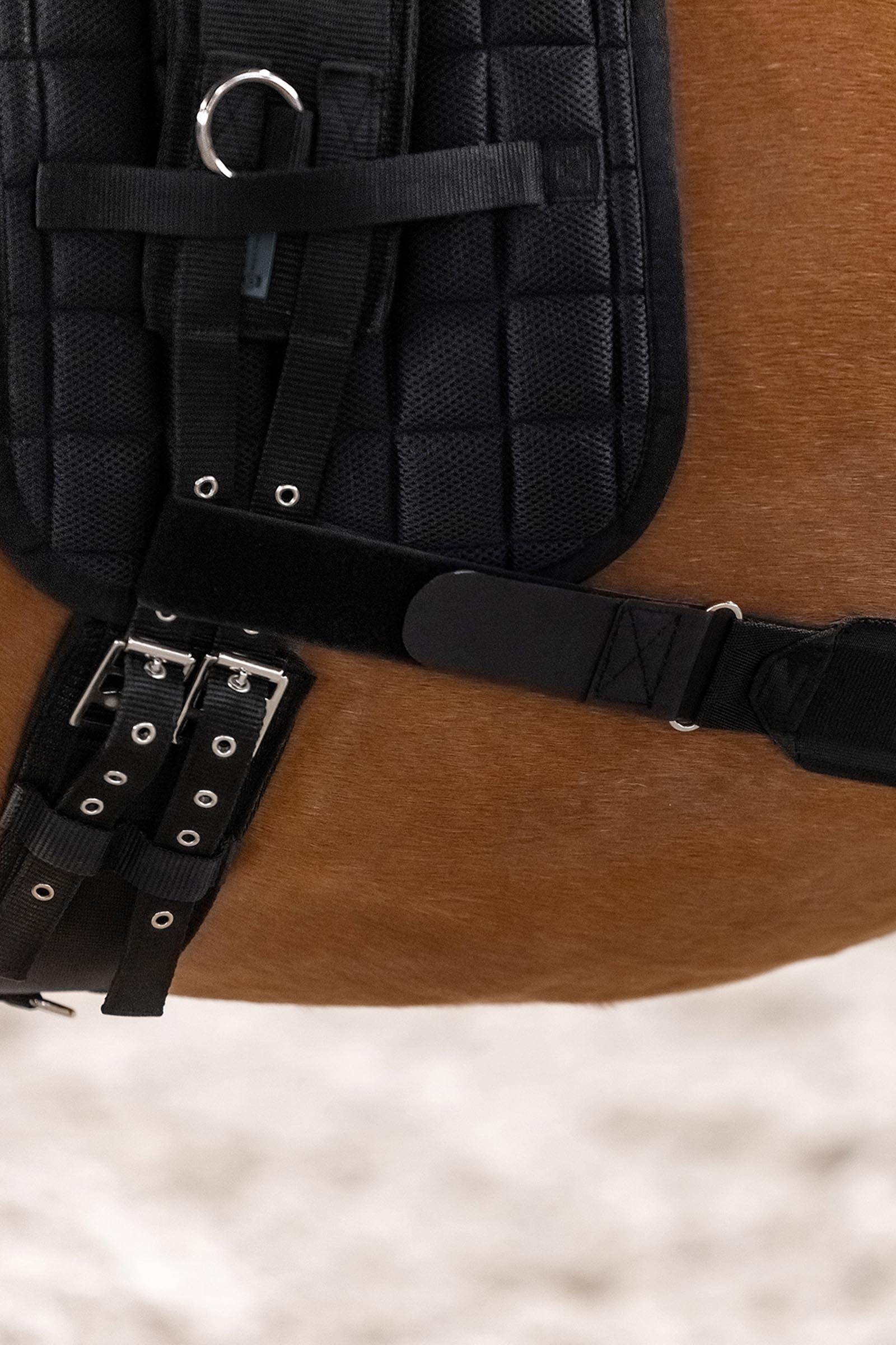 Waldhausen Body Bandage, Activation of the Hindquarters Leg & Hoof Protection