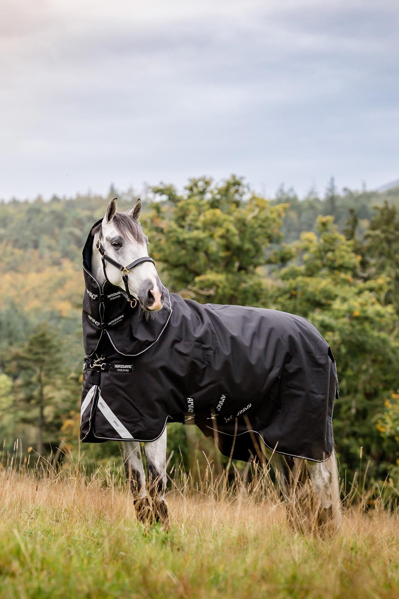 Horseware Amigo Super Bravo Plus derka padokowa z odpinaną częścią szyjną, 250 g Derki