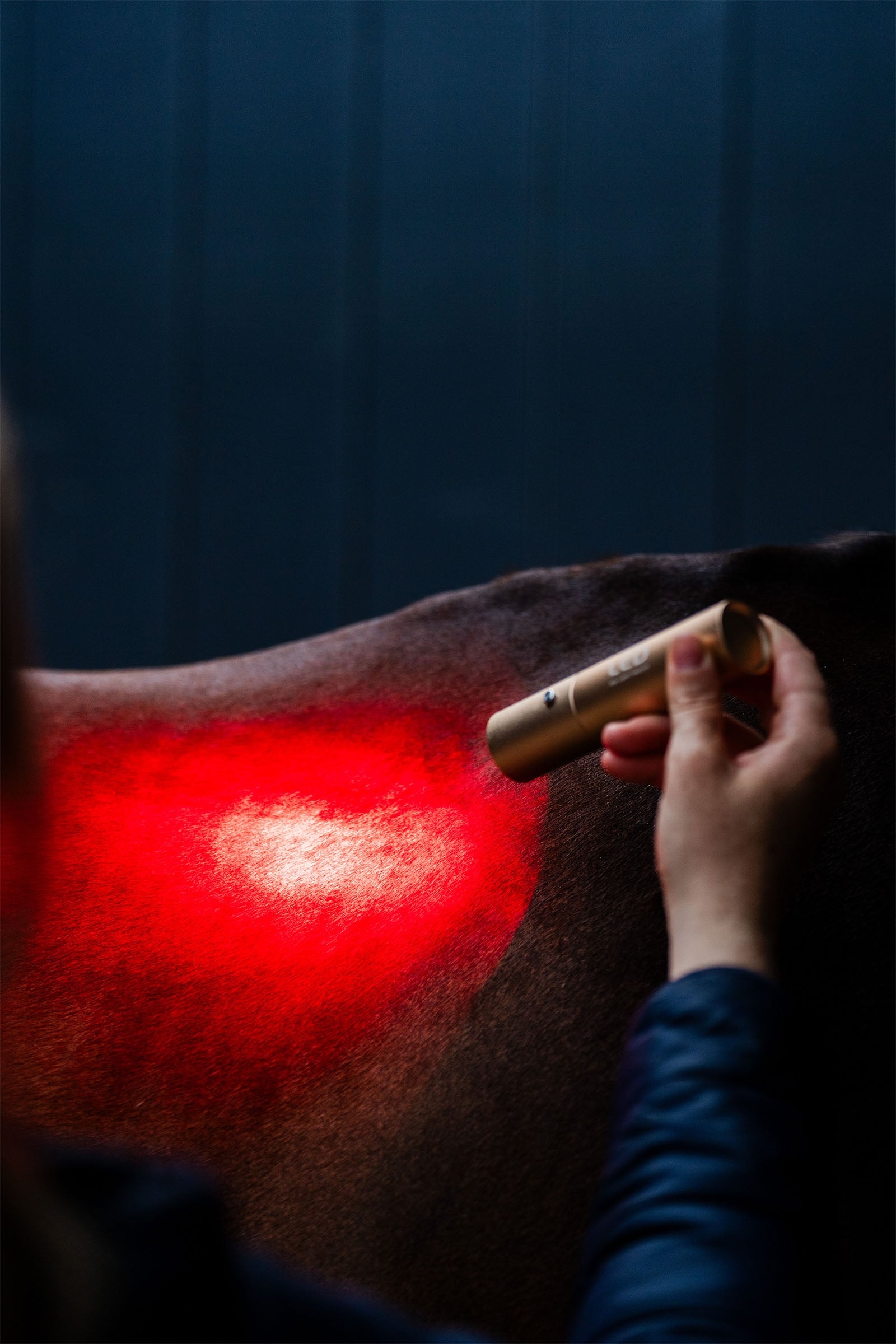 Horseware LED Red Light Therapy Wand Horse Rugs