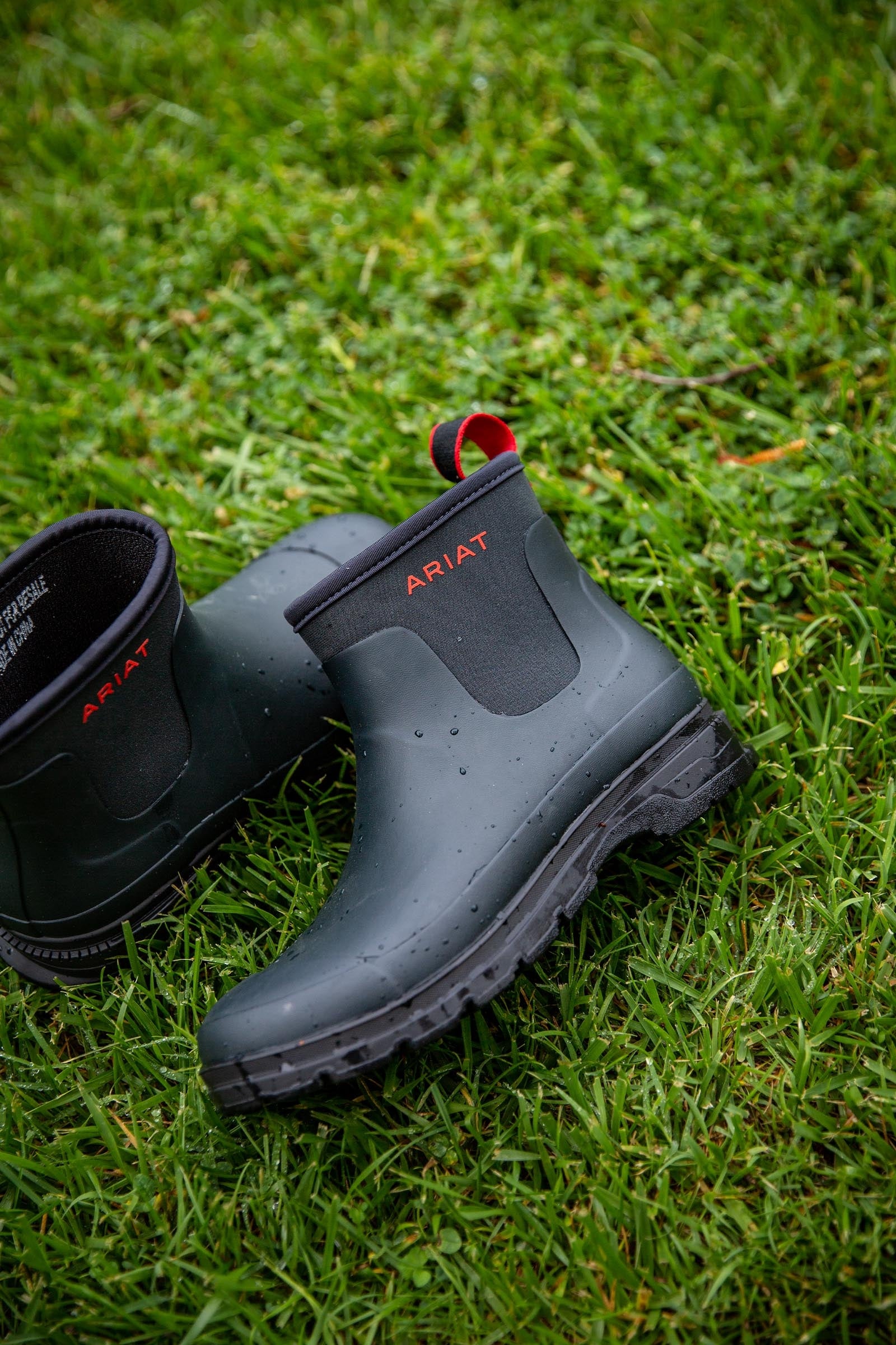 Ariat Kelmarsh Shortie Women's Rubber Boot Riding Boots & Riding Shoes