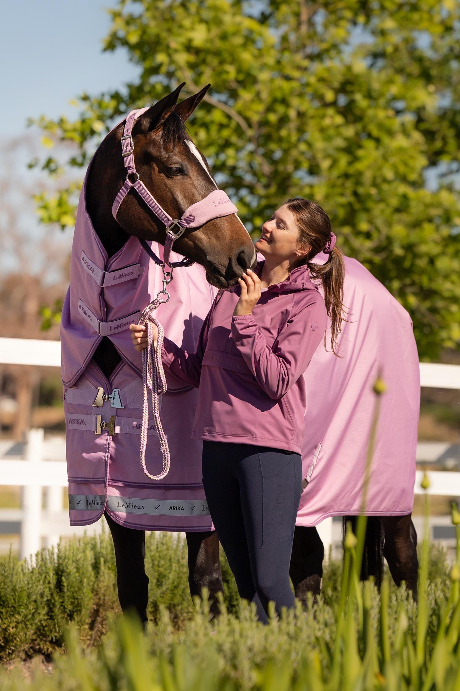 LeMieux Arika Ripstop Turnout Rug With Detachable Neck, 50g Horse Rugs
