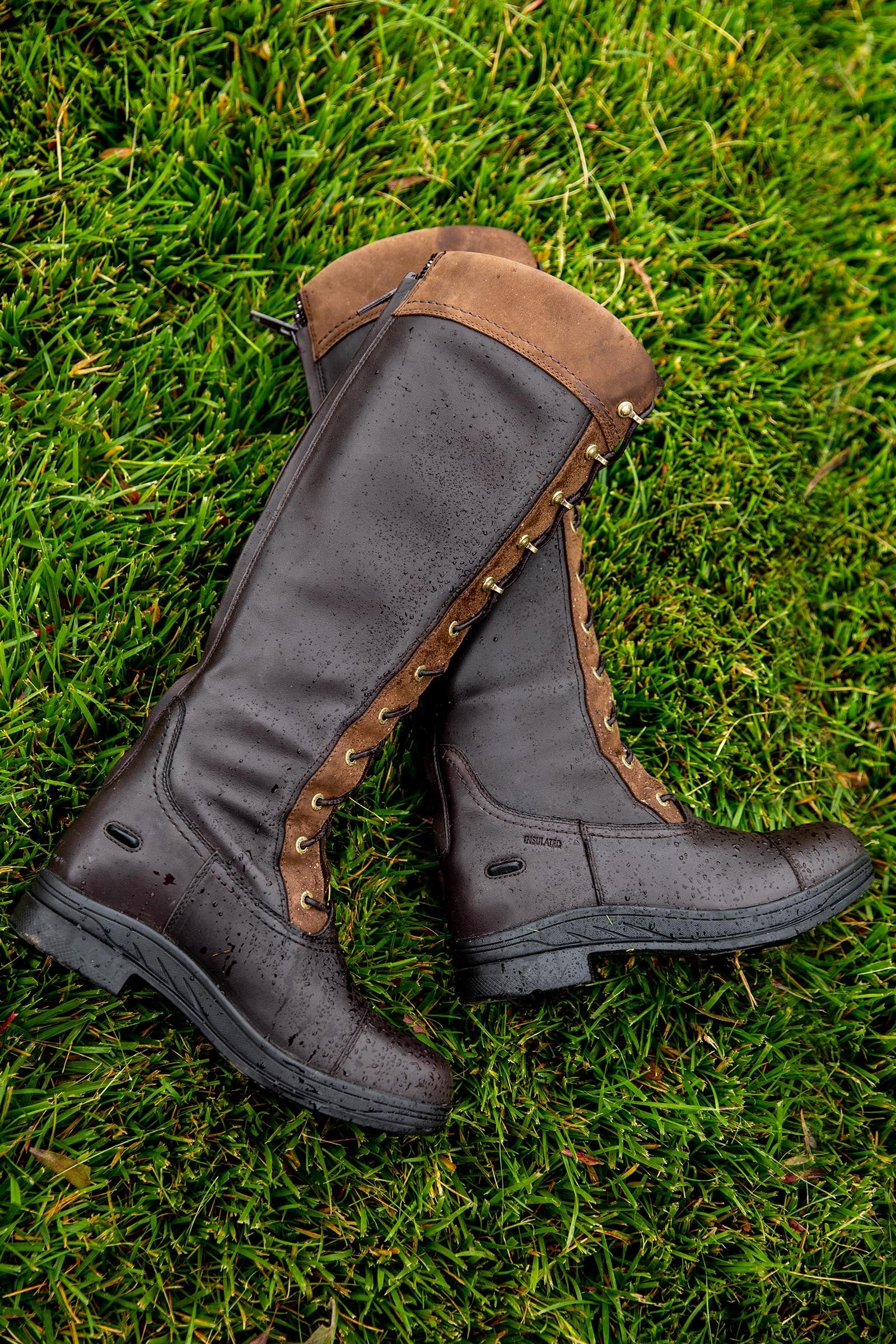 Ariat Coniston Max Waterproof Insulated Womens's Boots Riding Boots & Riding Shoes