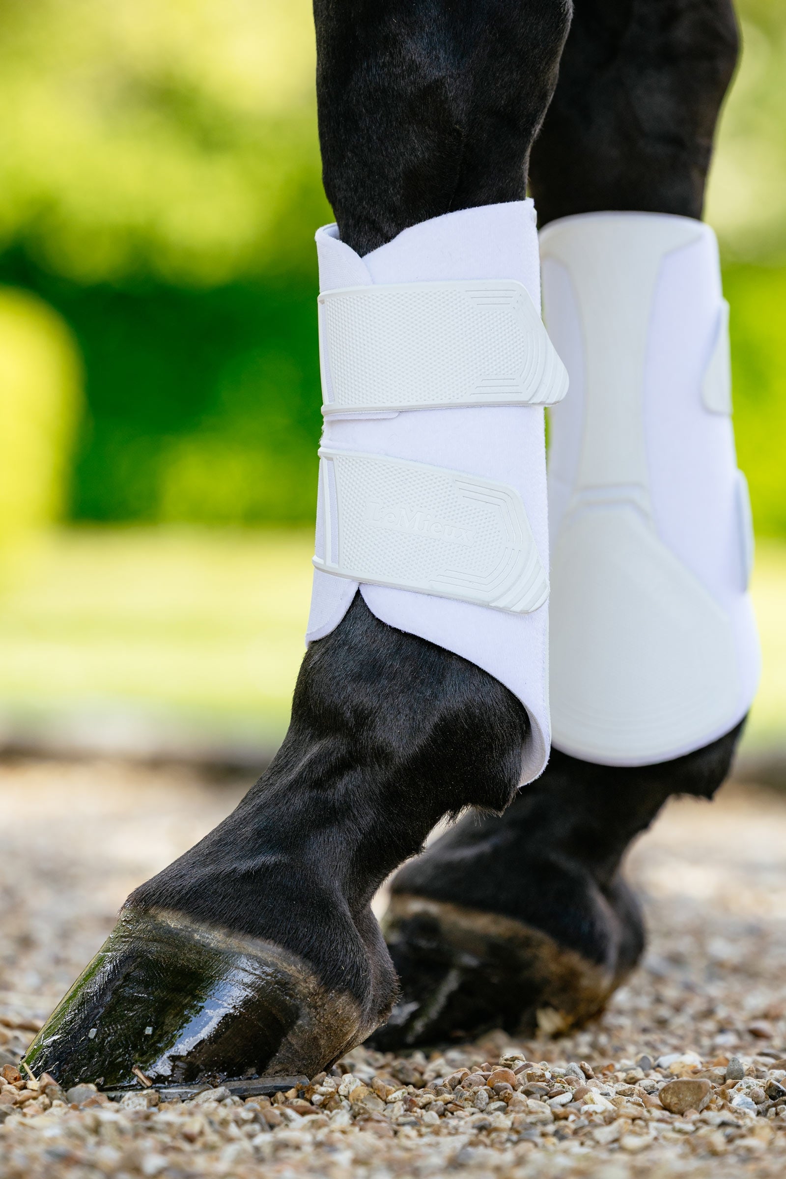 LeMieux Technical ochraniacze ujeżdżeniowe Leg Protection & Hoof Protection for Horses