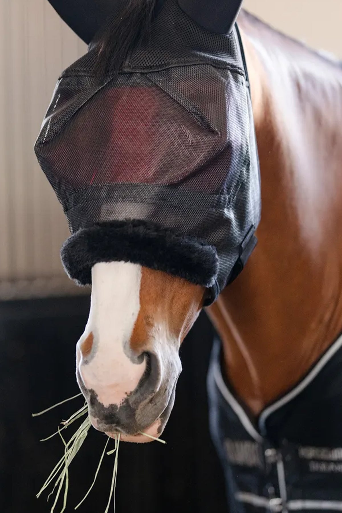 EquiFit Equilenz™ Horse Mask Antifly Protection for Horses