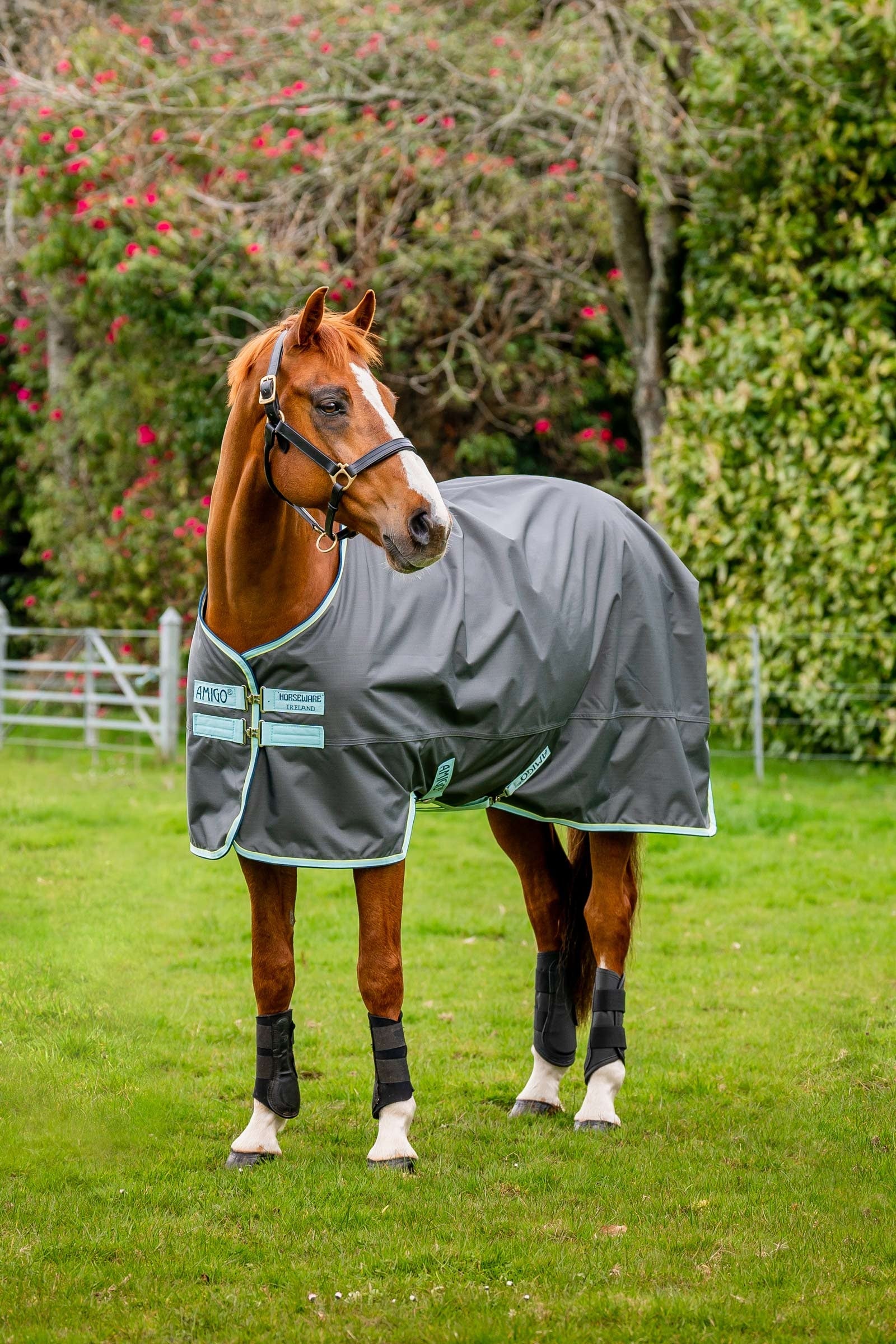Horseware Amigo Hero Ripstop derka padokowa z podszyciem z polaru, 50g Derki