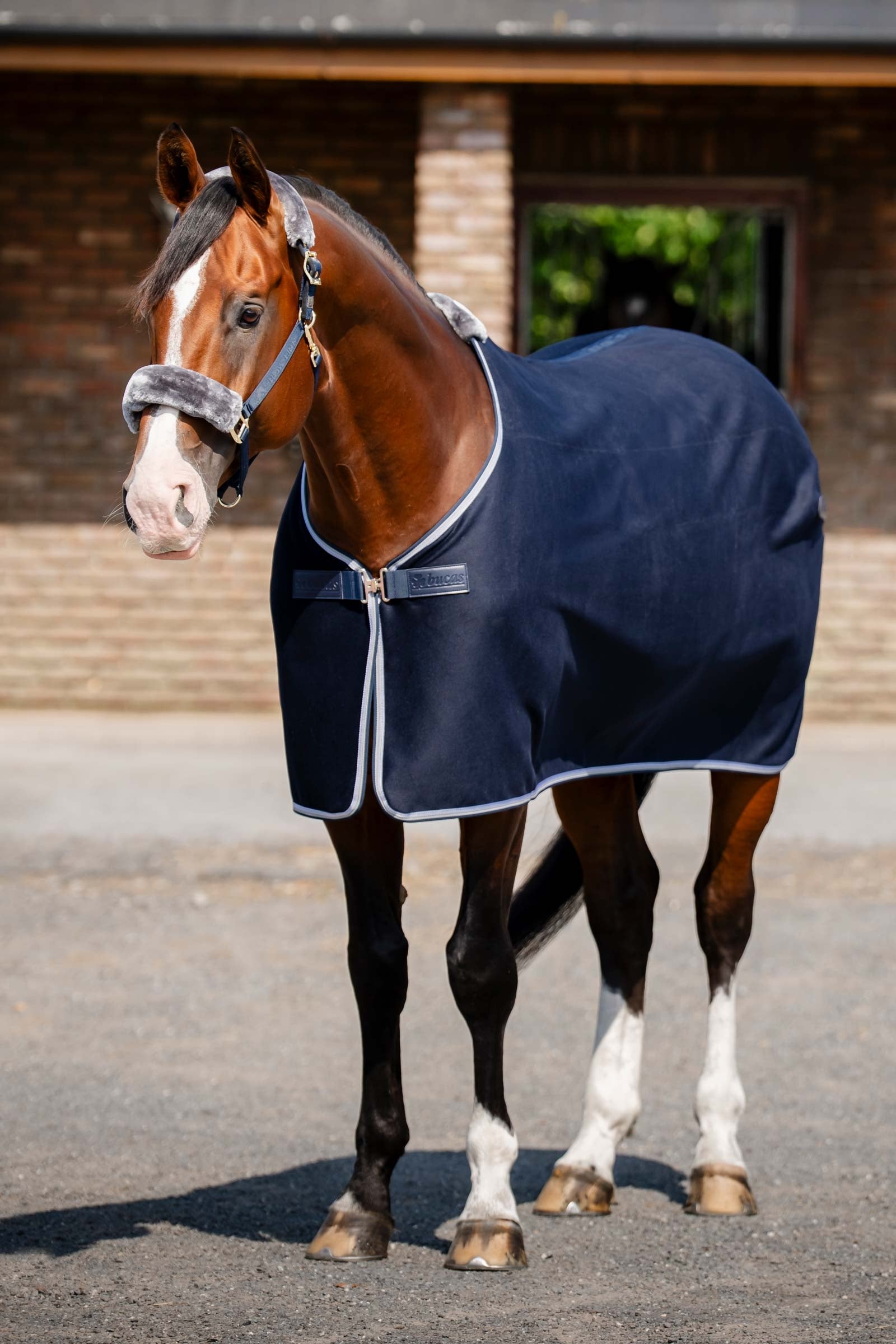 Bucas Emerald Wool Rug Derki