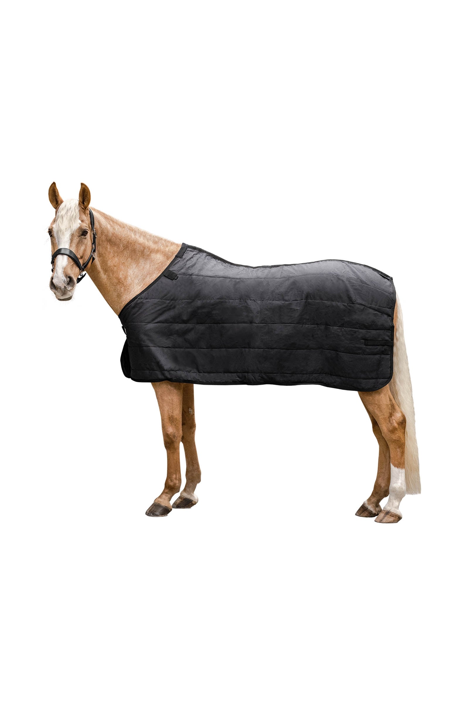 Waldhausen Thermo Underrug  100 g Horse Rugs