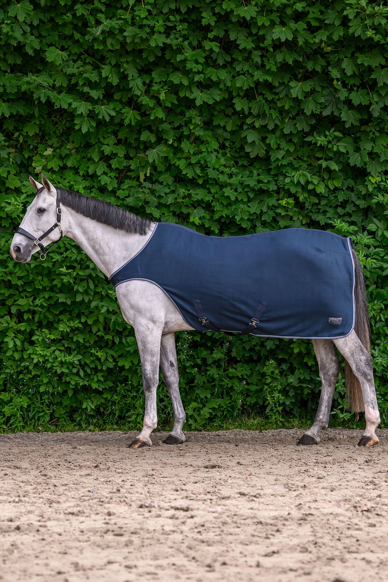 Waldhausen ECONOMIC Fleece Walker Rug Horse Rugs