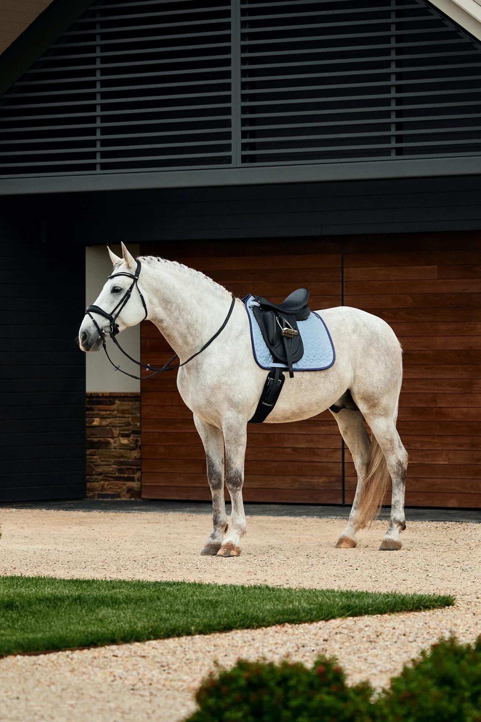 Weatherbeeta Suede Elite Air-Tec Dressage Saddle Pad Saddle Pads