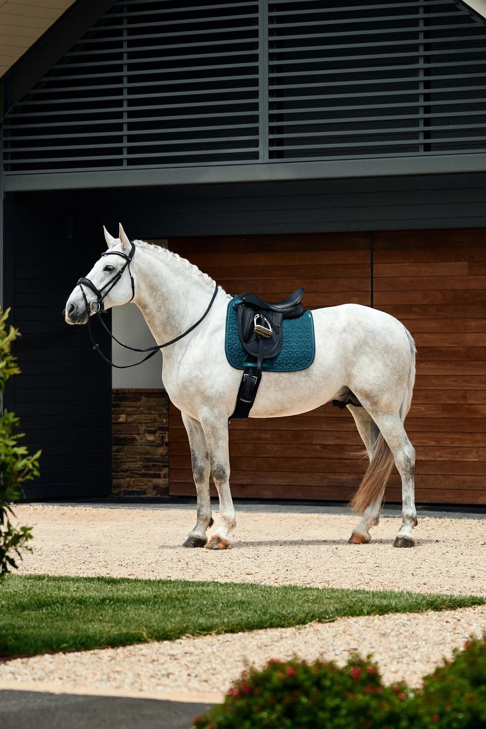 Weatherbeeta Suede Elite Air-Tec Dressage Saddle Pad Saddle Pads