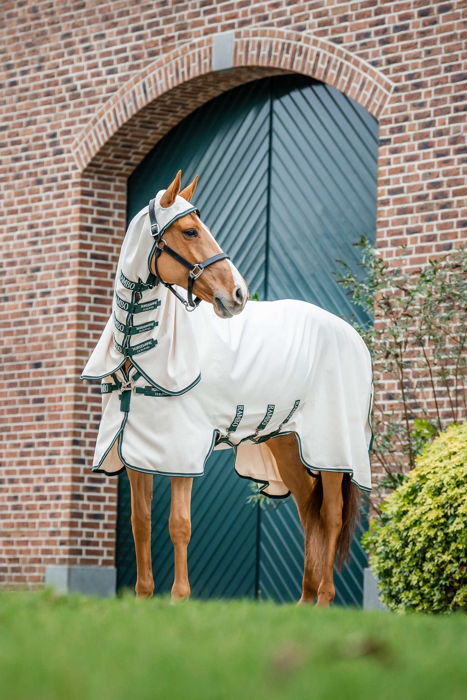 Horseware Rambo Hoody Horse Rugs