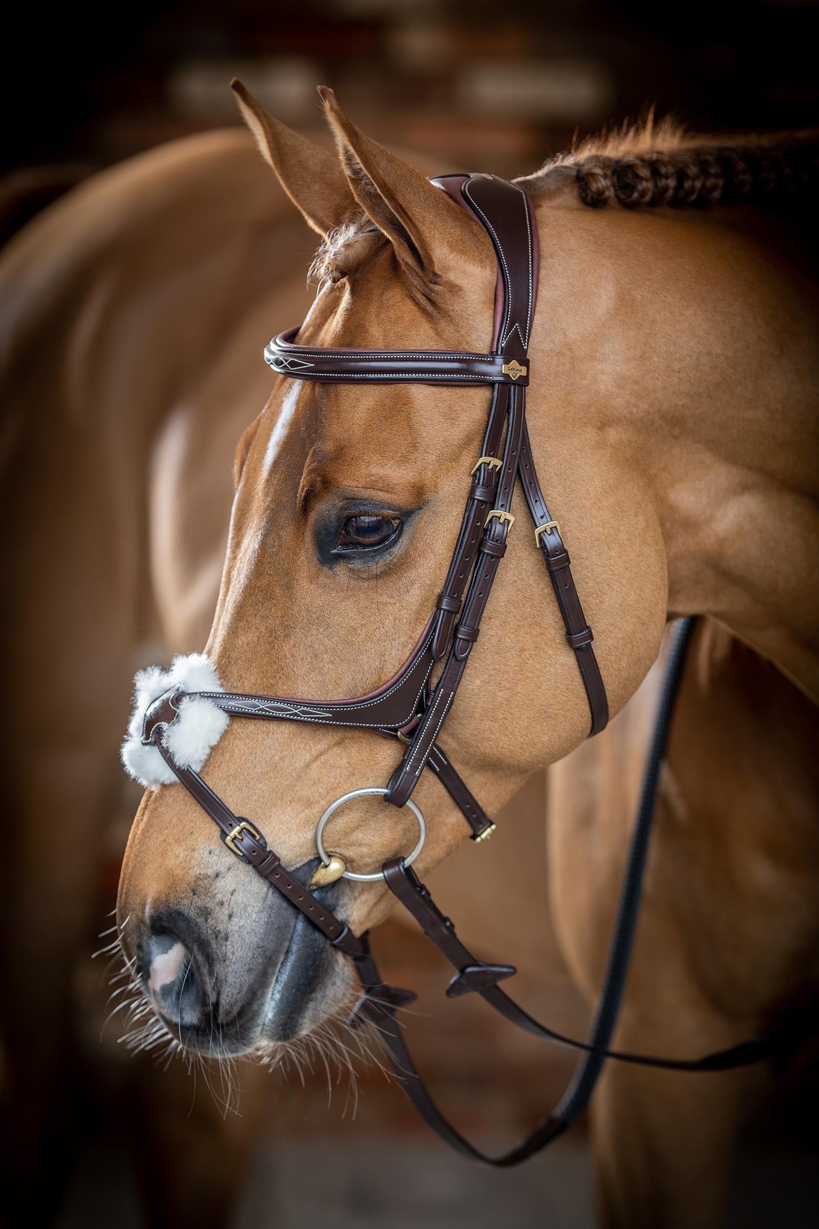 LeMieux Kudos Grackle Bridle Bridles & Reins