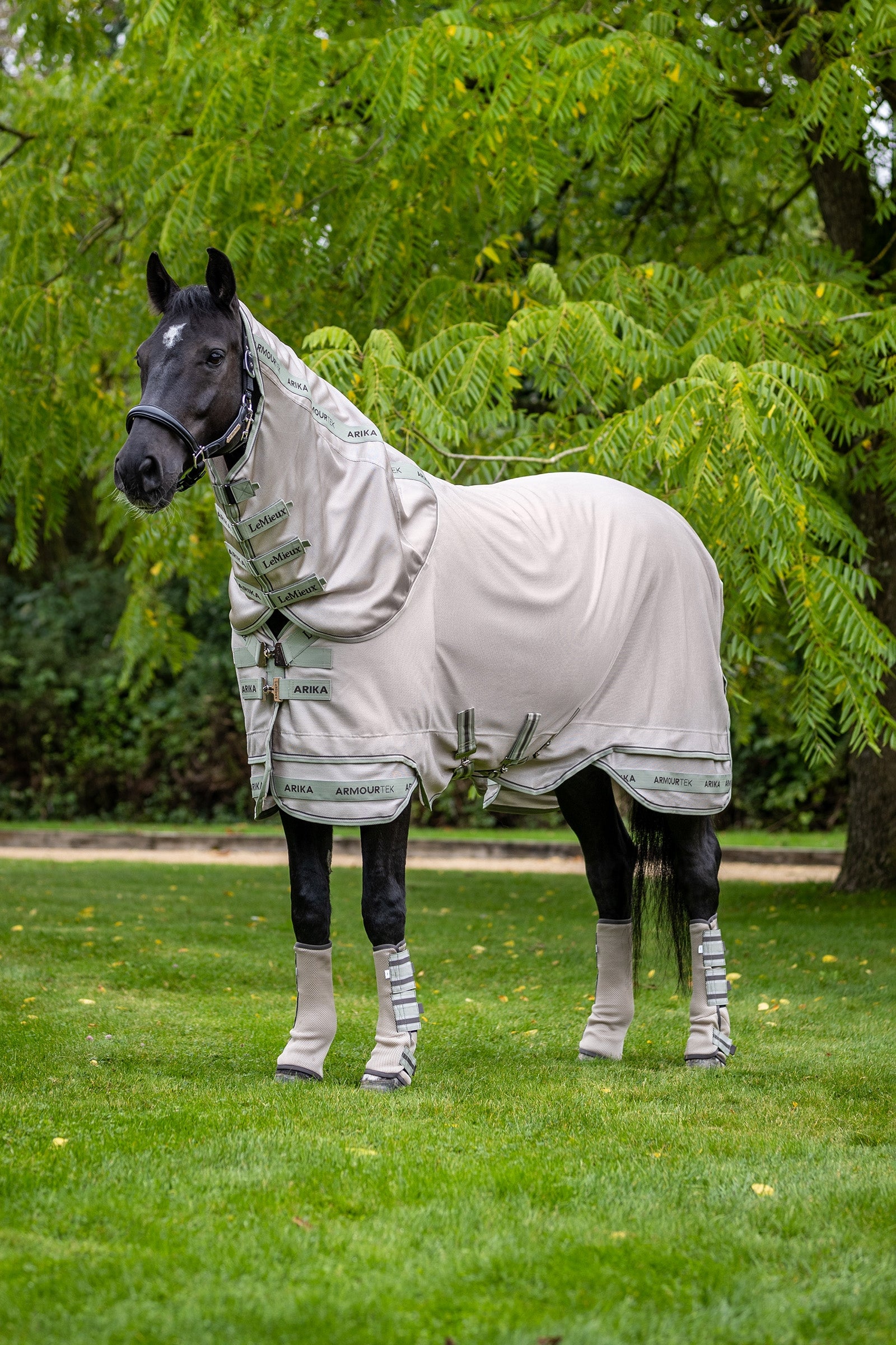 LeMieux Arika Armour-Tek Fly Rug With Detachable Neck Horse Rugs