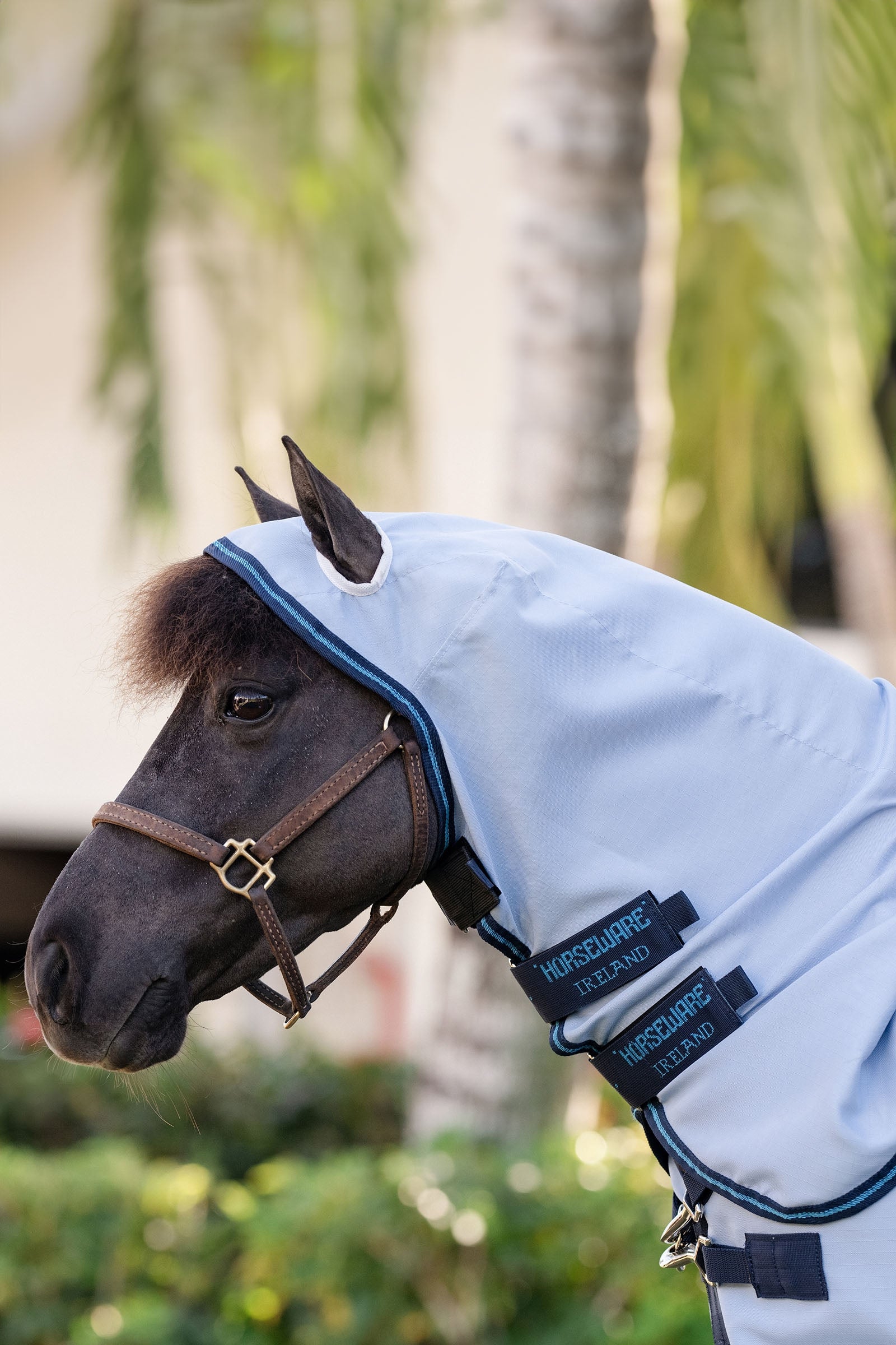 Horseware Amigo Ripstop Petite Hoody Horse Rugs