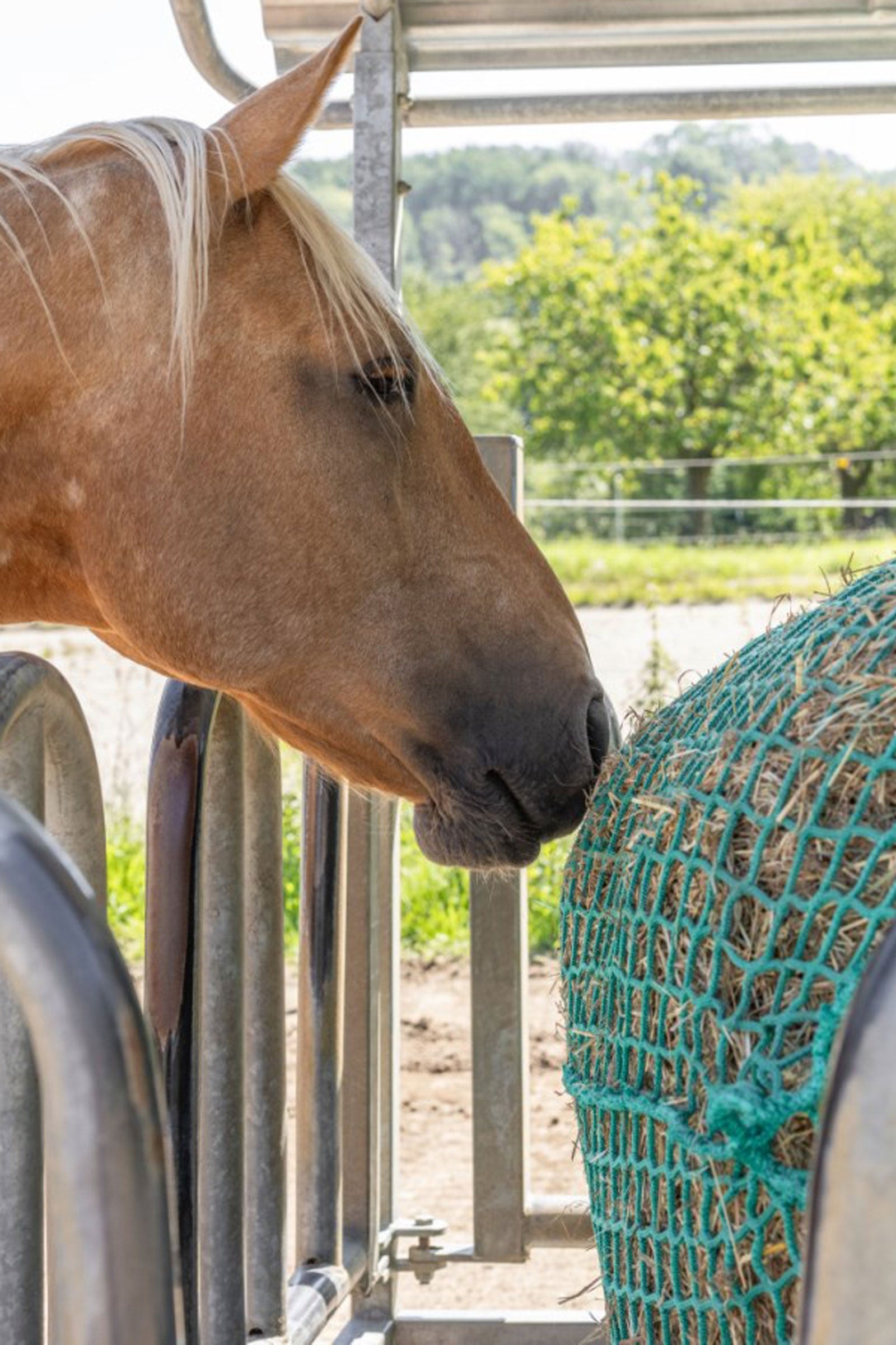 Kerbl Hay Net for Round Bales, hangable Horse Feeders & Waterers