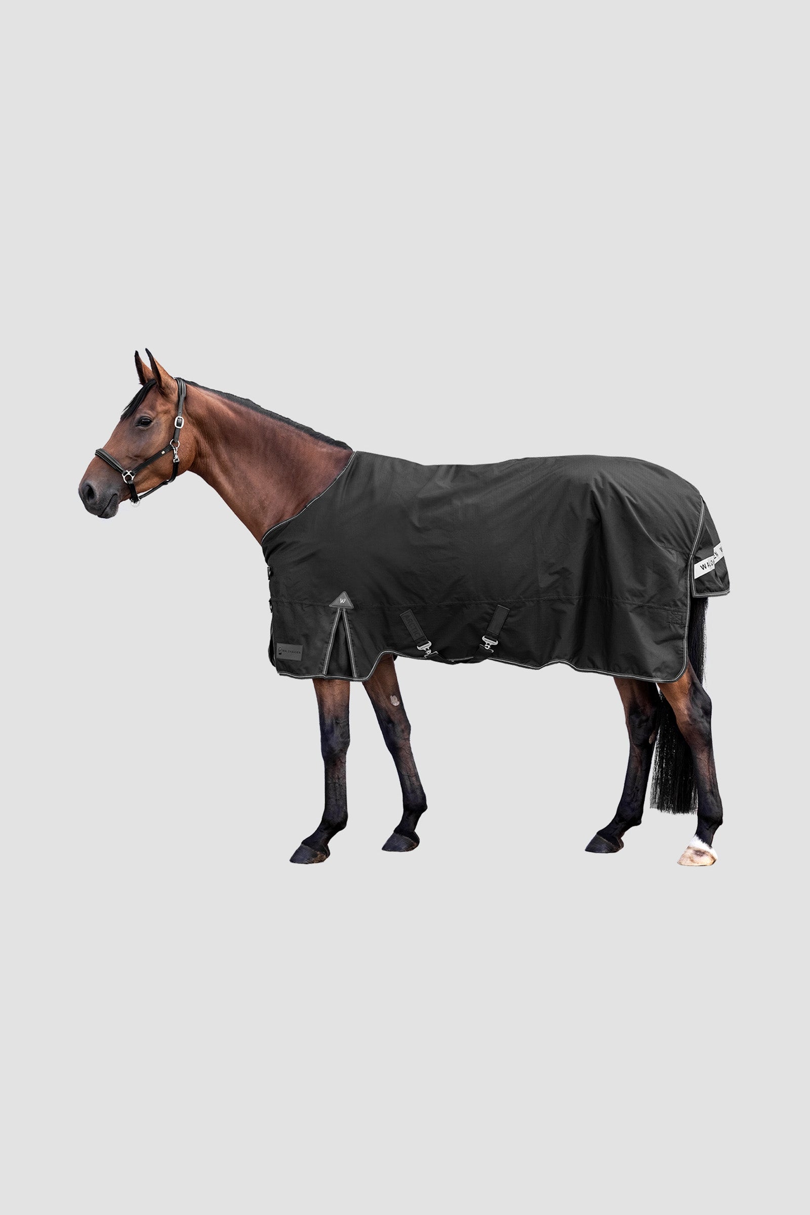 Waldhausen Outdoor Rug Arctic Light Derki