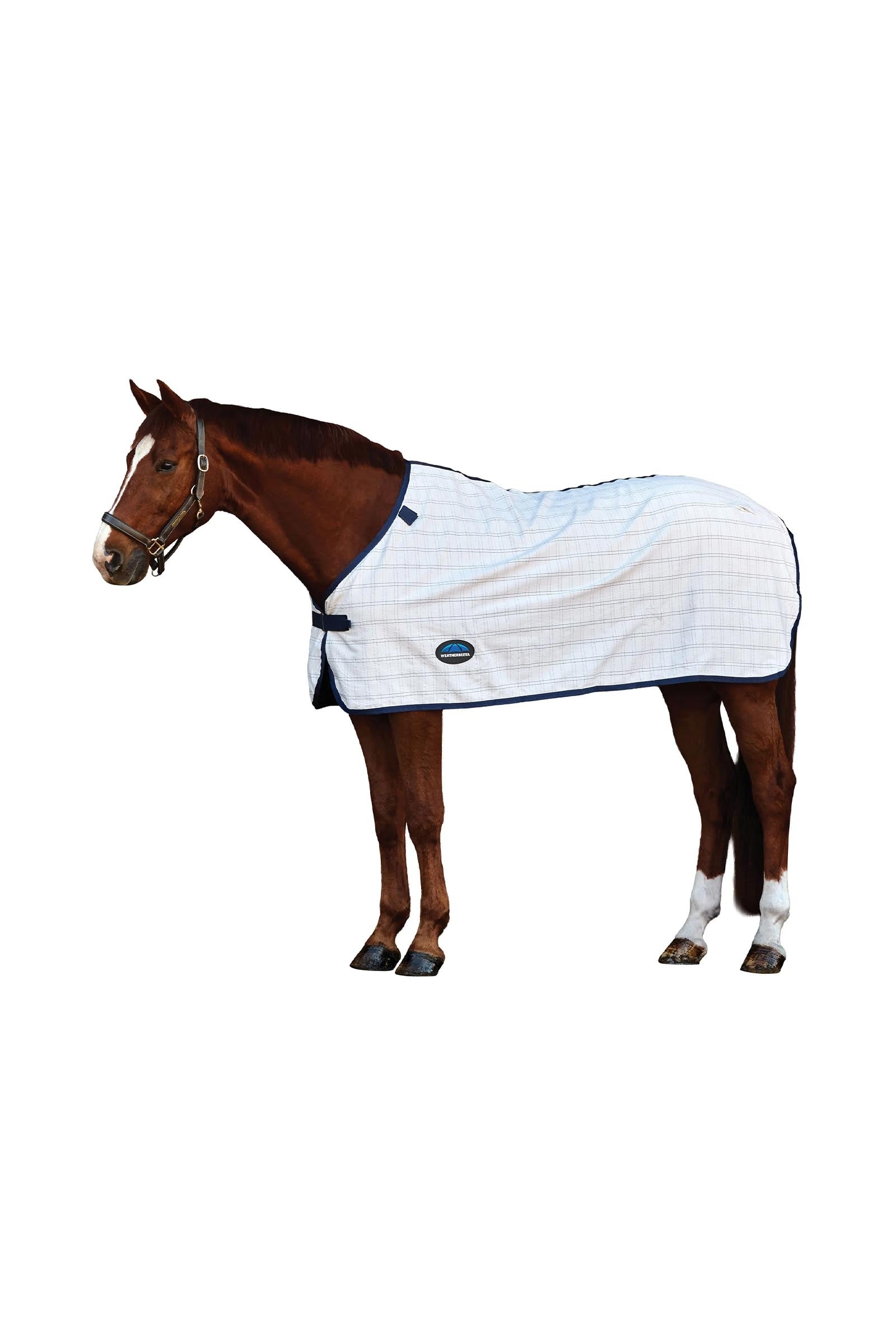 Lifestyle shot 1