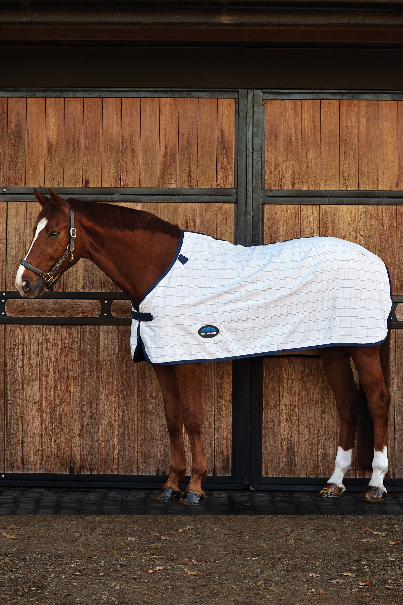Weatherbeeta ComFiTec Cotton-Liner Derki
