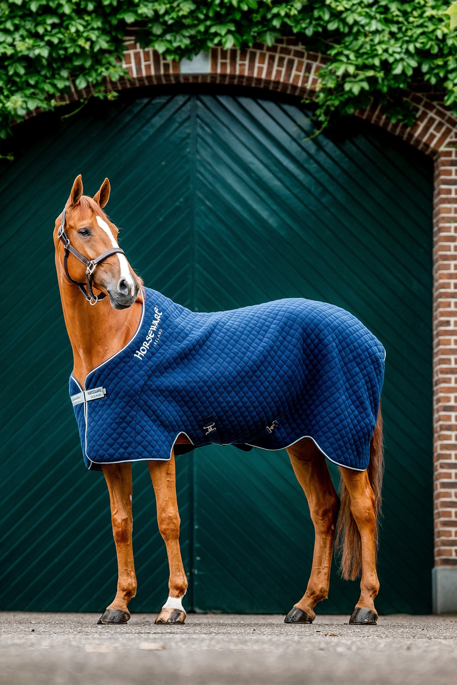 Horseware Derka polarowa na jesień Derki