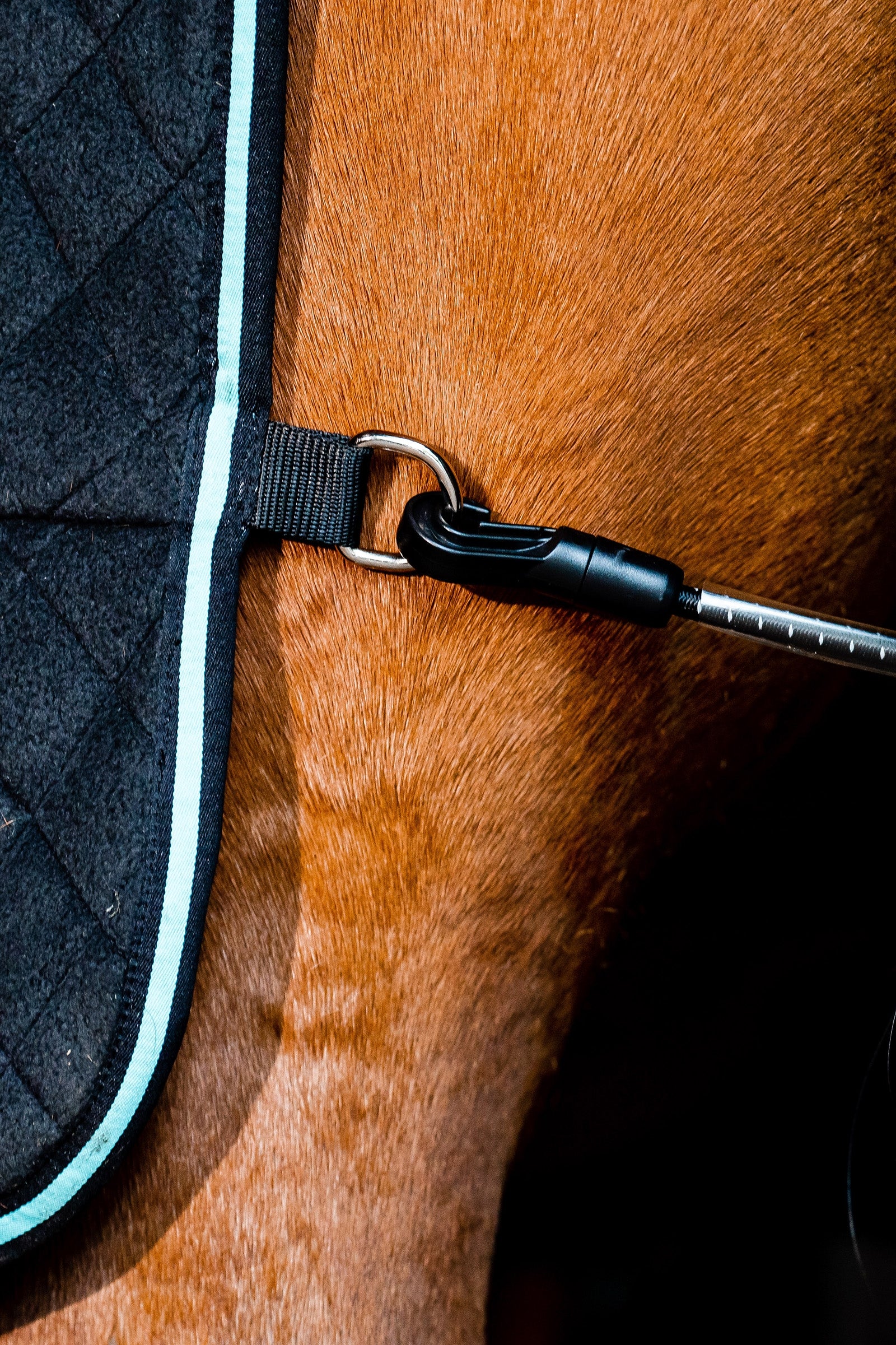 Horseware Autumn Cooler Horse Rugs